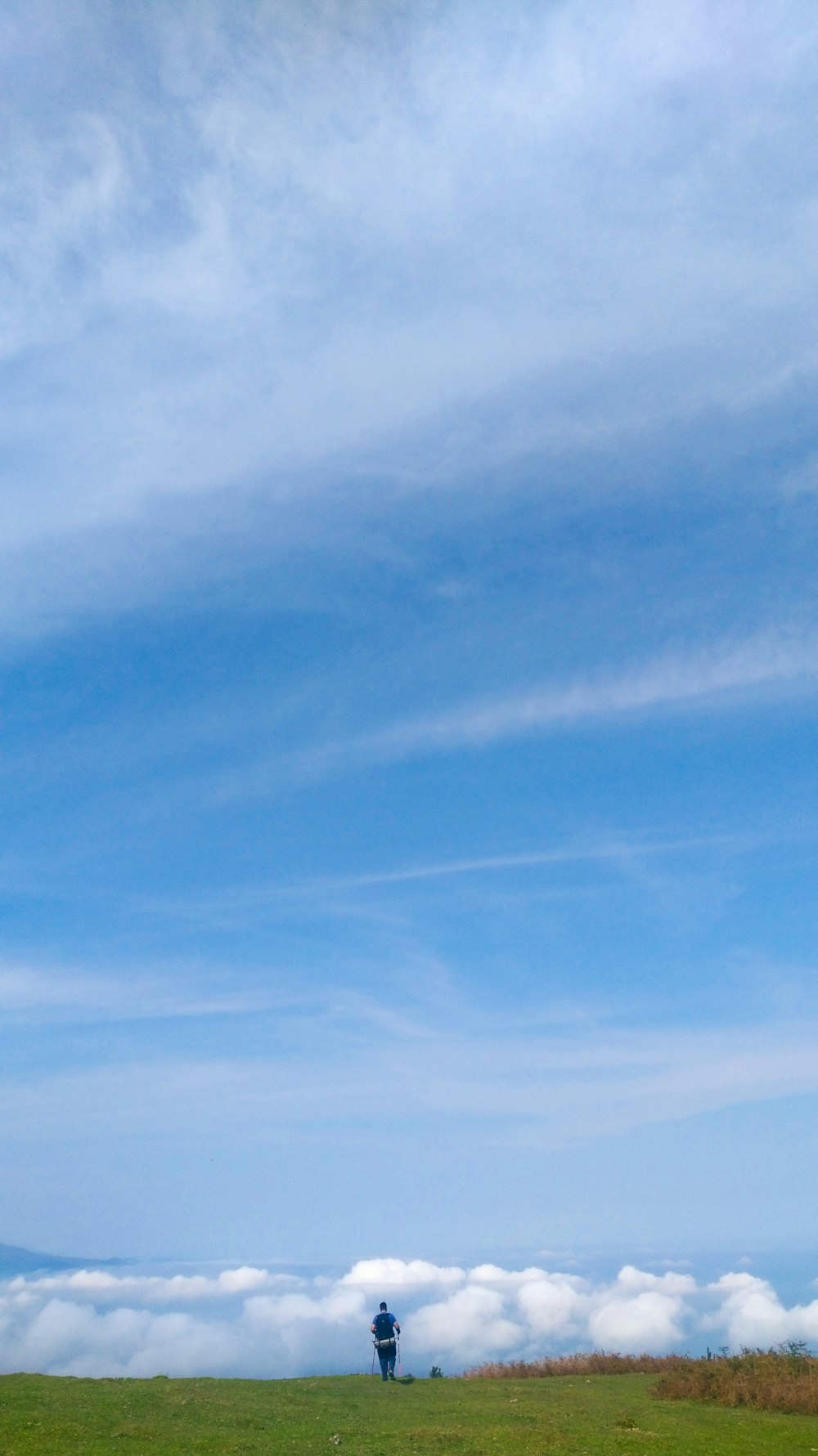 a person standing in a field flying a kite