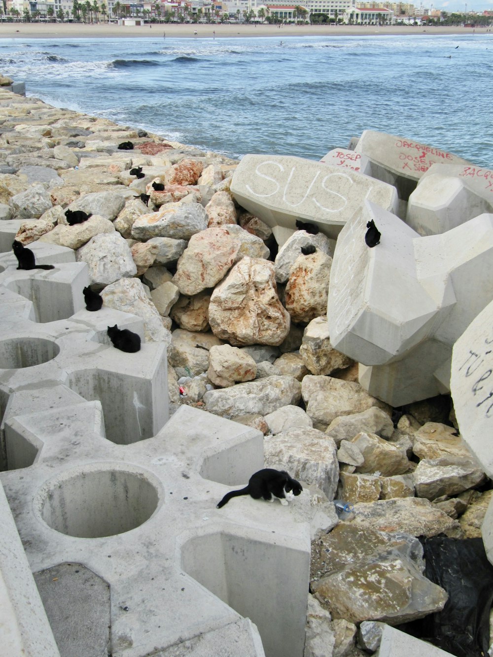 a bunch of rocks that are by the water