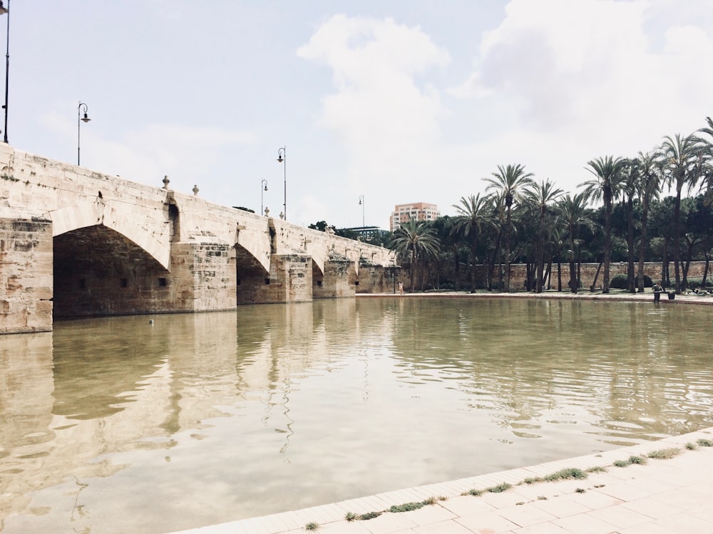 a large body of water with a bridge in the background