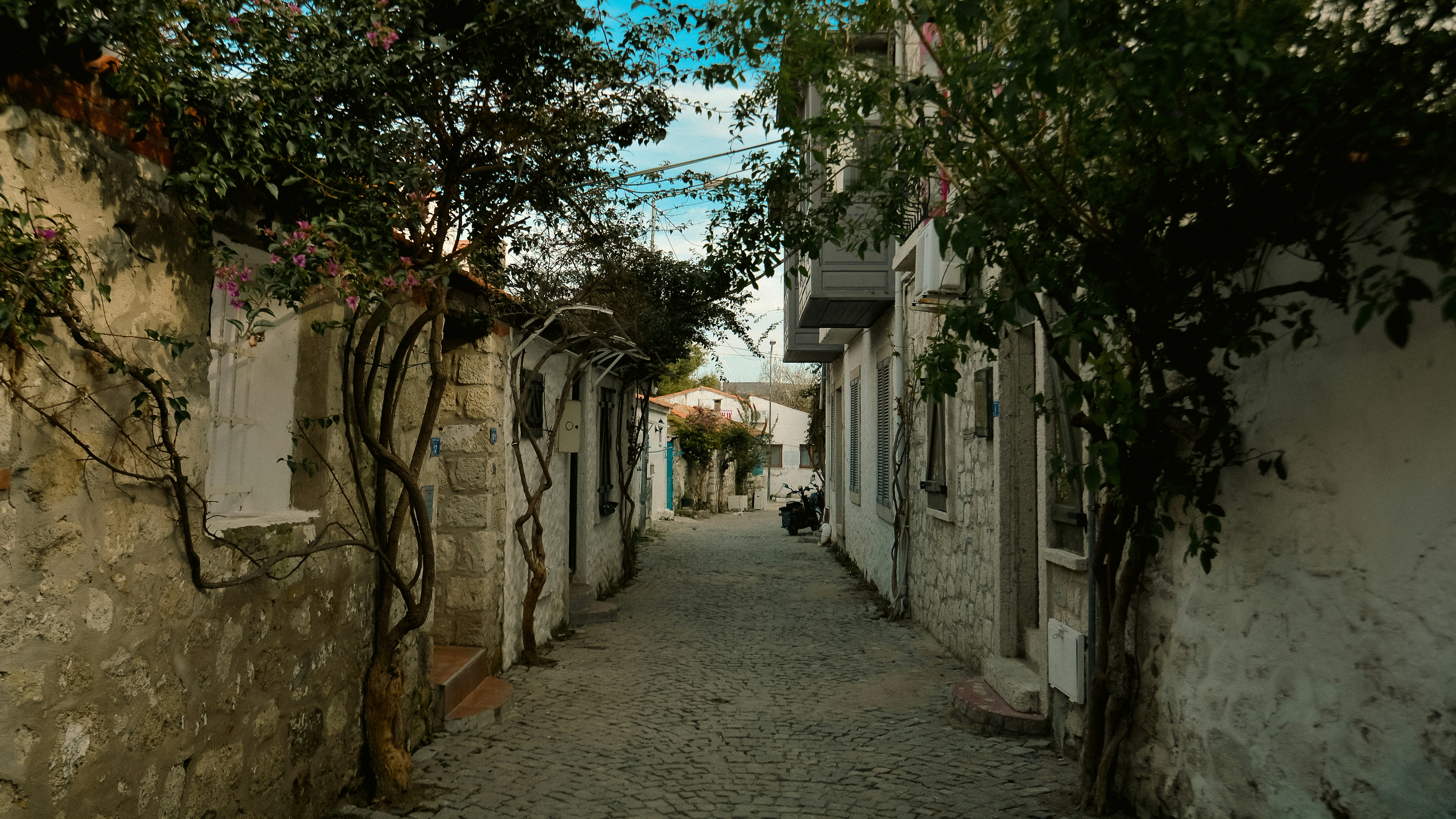 Photo by mehmetuzut