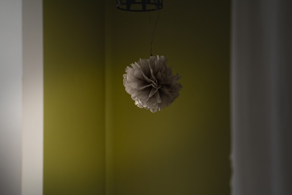 a flower hanging from a ceiling in a room