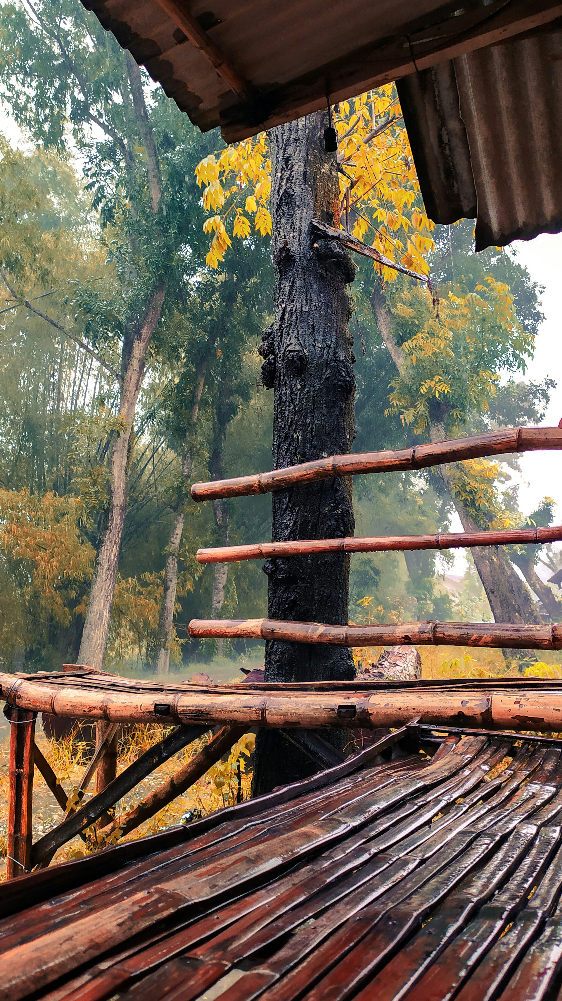 camping food wallpaper, wallpaper, Easy One Pot Camping Meals for Beginners 4