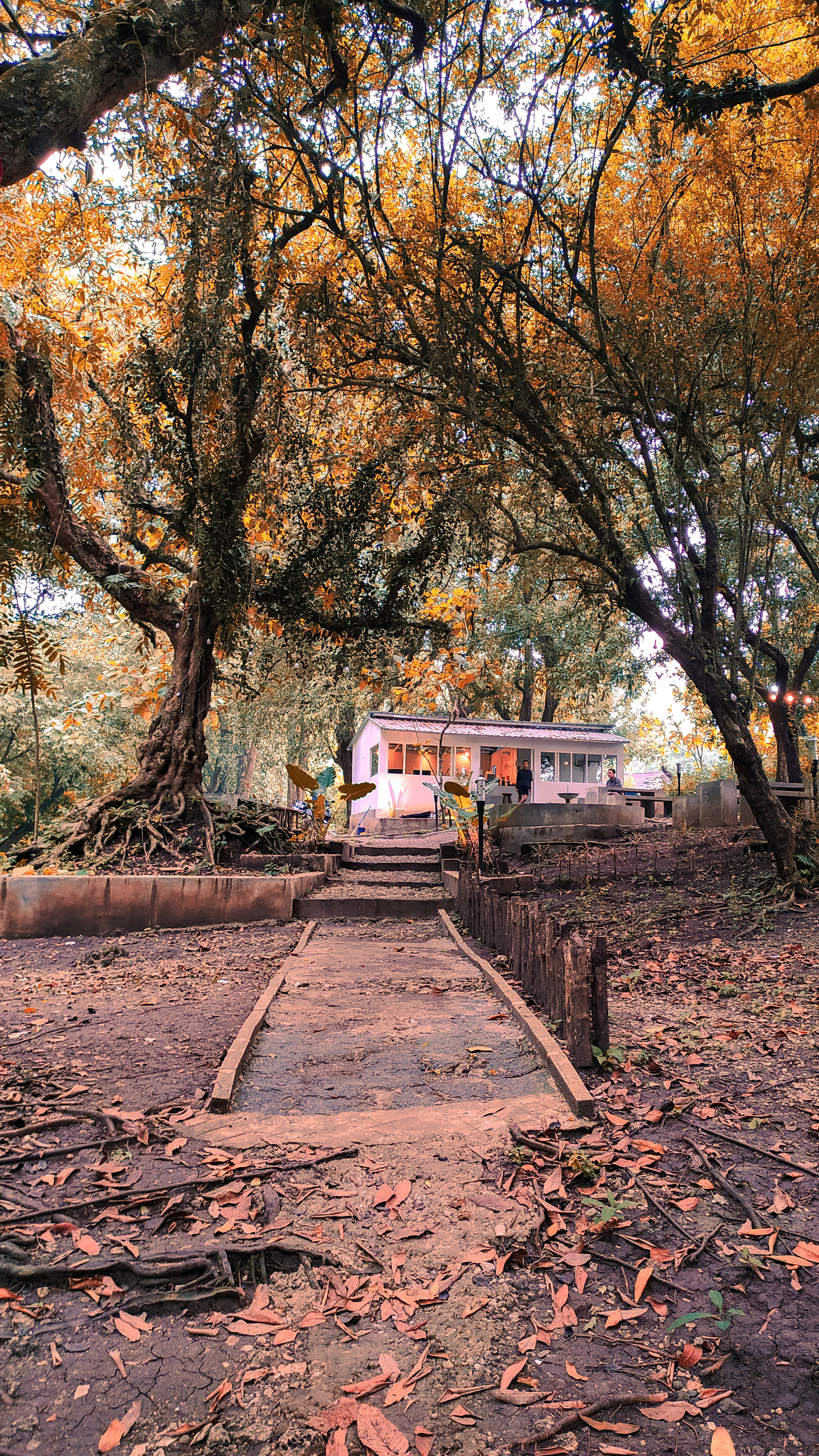 camping food wallpaper, wallpaper, Easy One Pot Camping Meals for Beginners 5