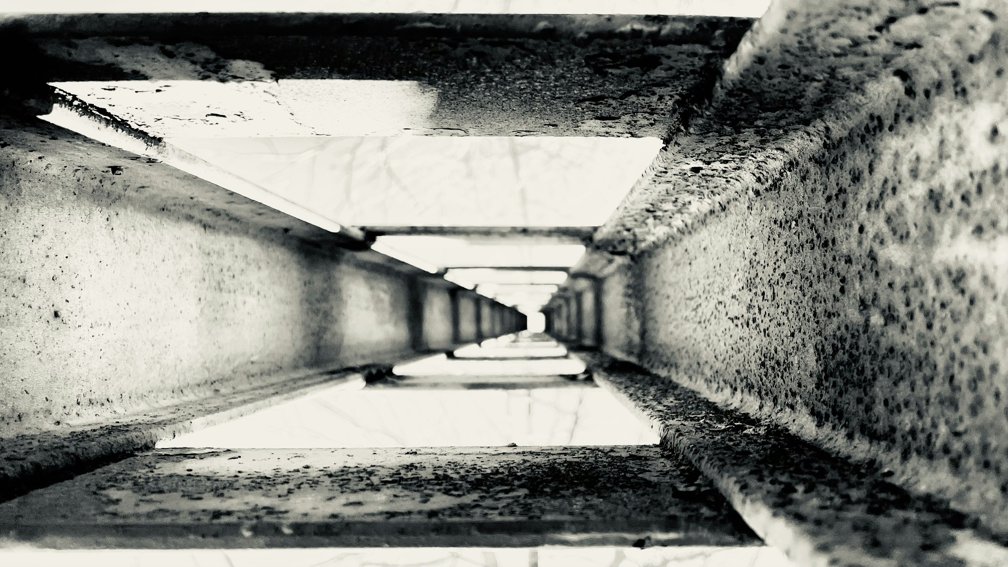 Photo by panevesht