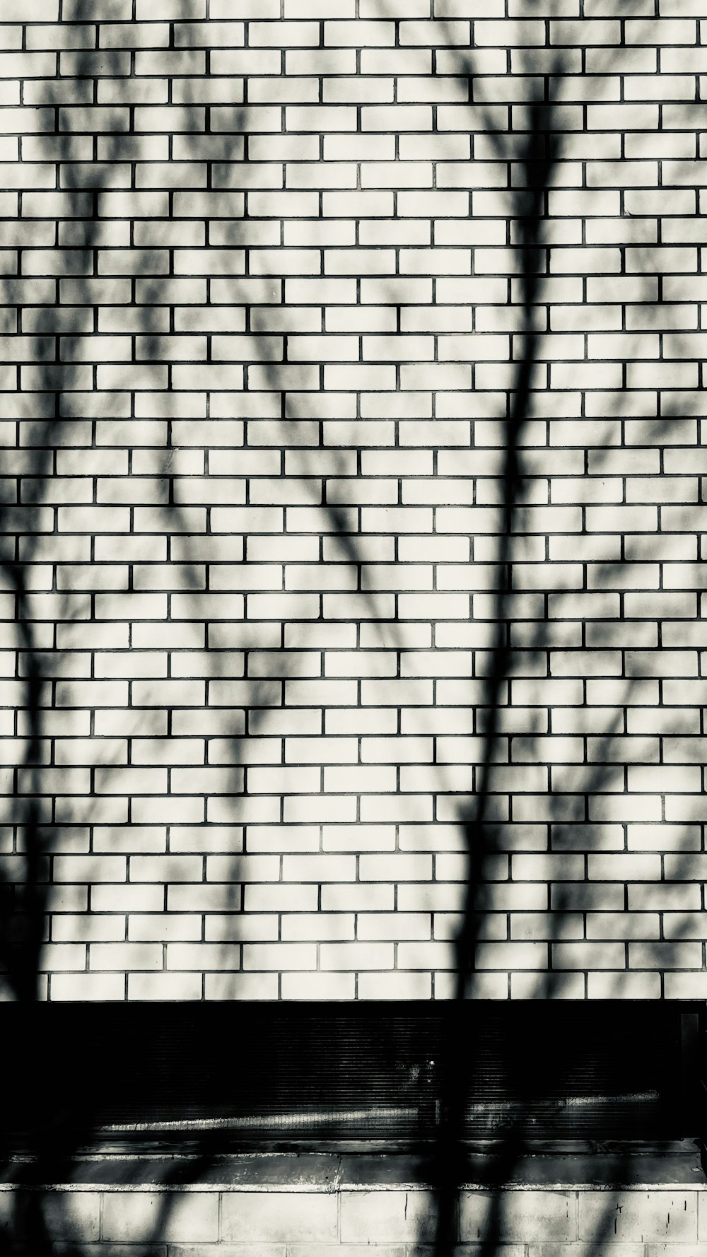 a tree casting a shadow on a brick wall