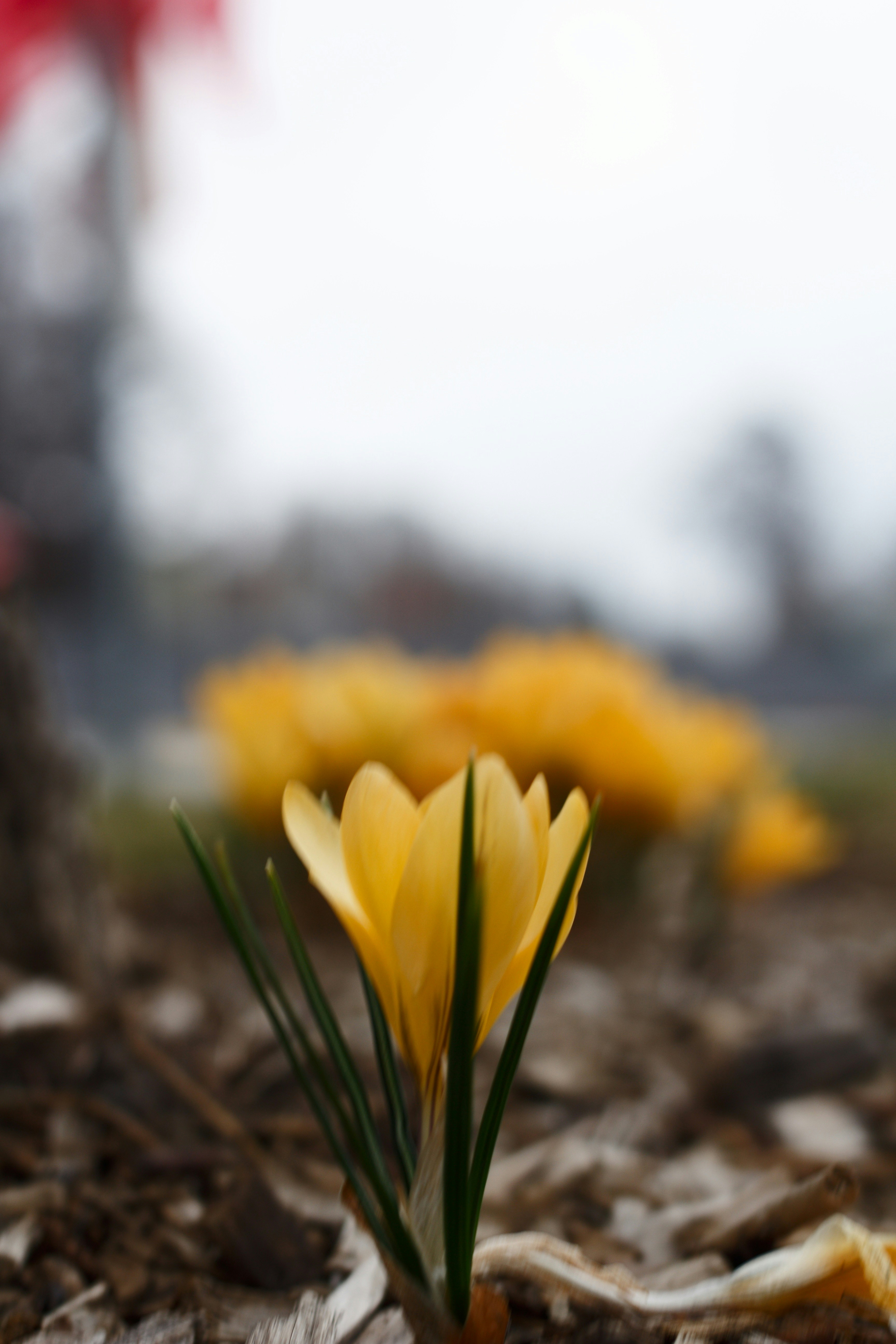 Photo by joshua_hoehne