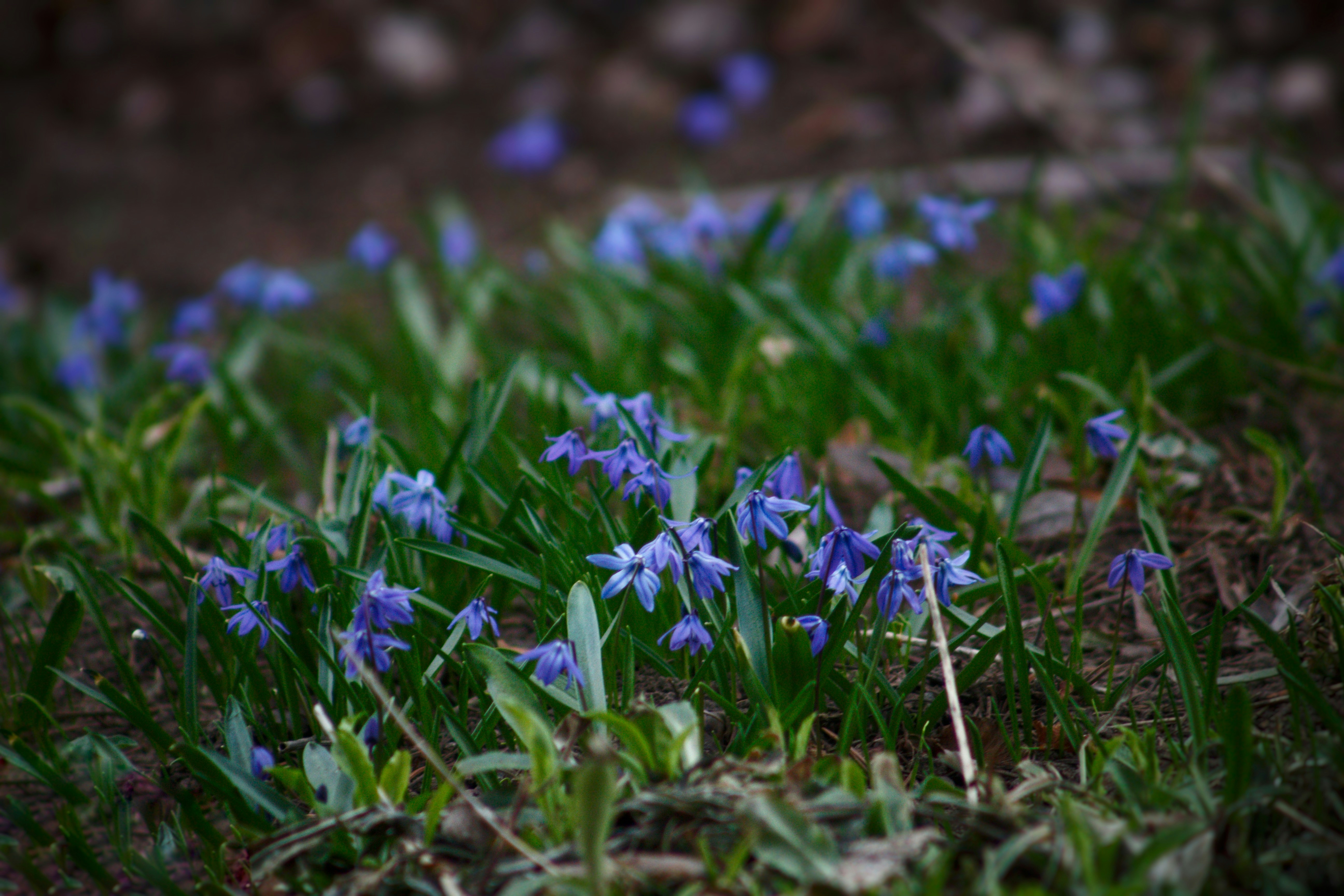 Photo by joshua_hoehne