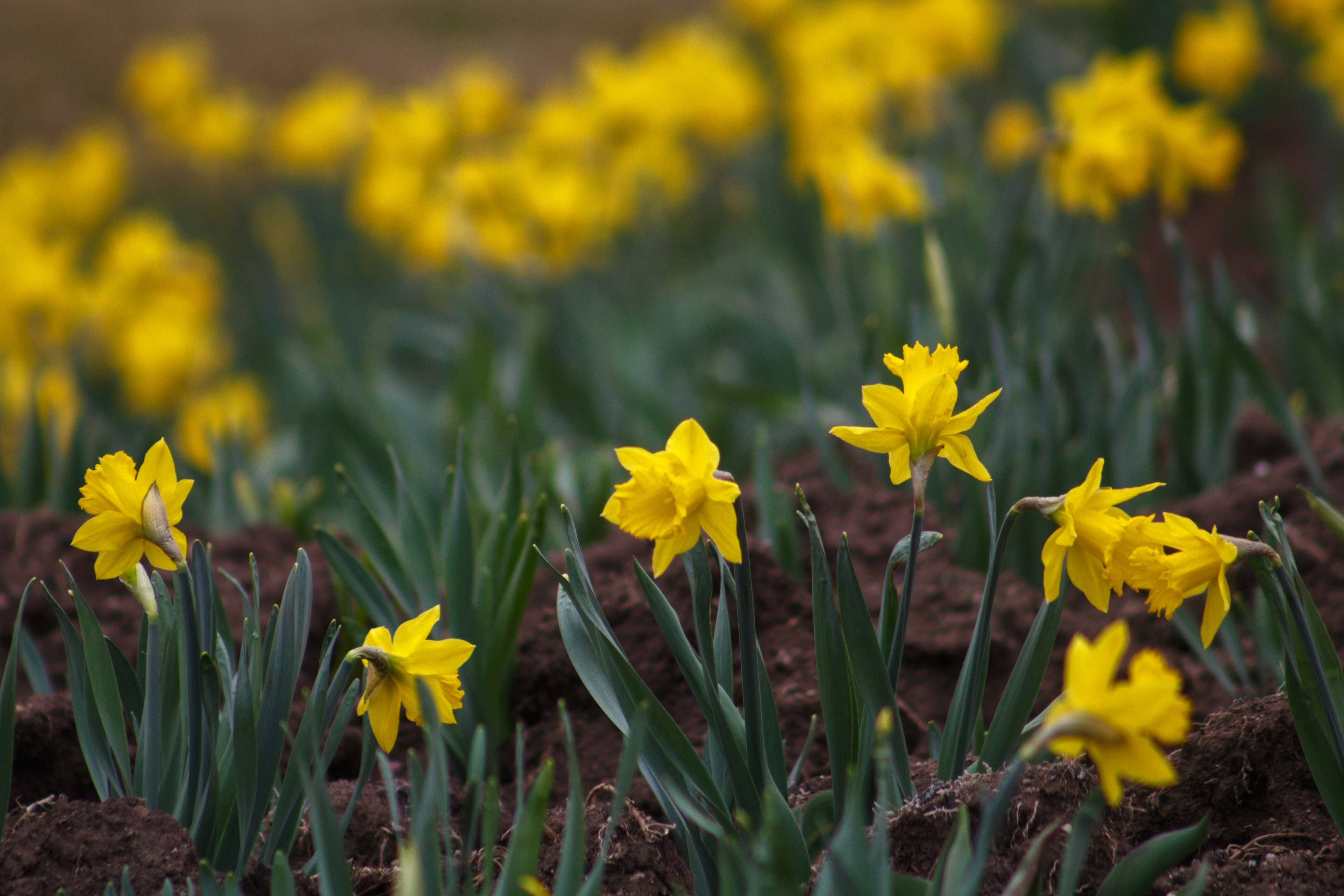 Photo by joshua_hoehne