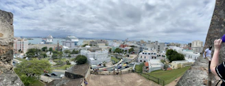 A panoramic view of a bustling port city with cruise ships docked and colorful buildings.