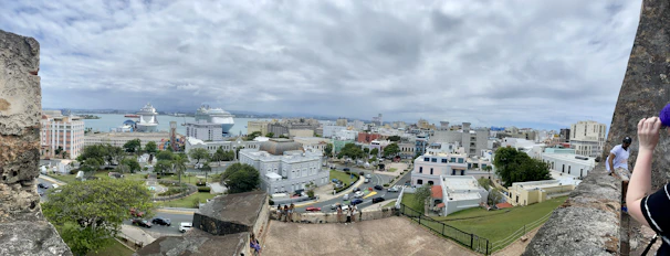 A panoramic view of a bustling port city with cruise ships docked and colorful buildings.