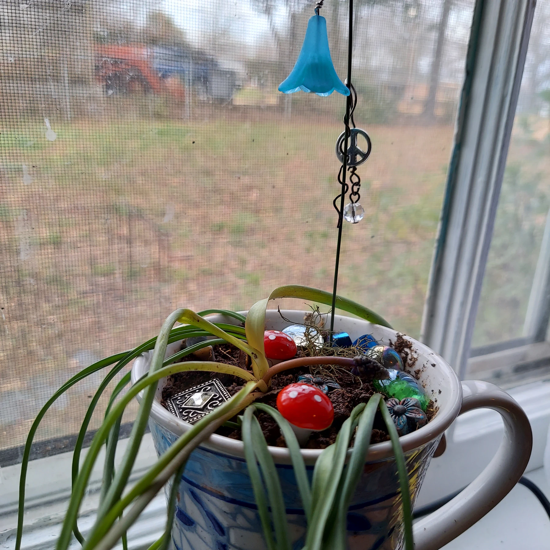 A mug on a windowsill planted with a grassy plant, two red toadstools, glass beads and a hanging blue bell