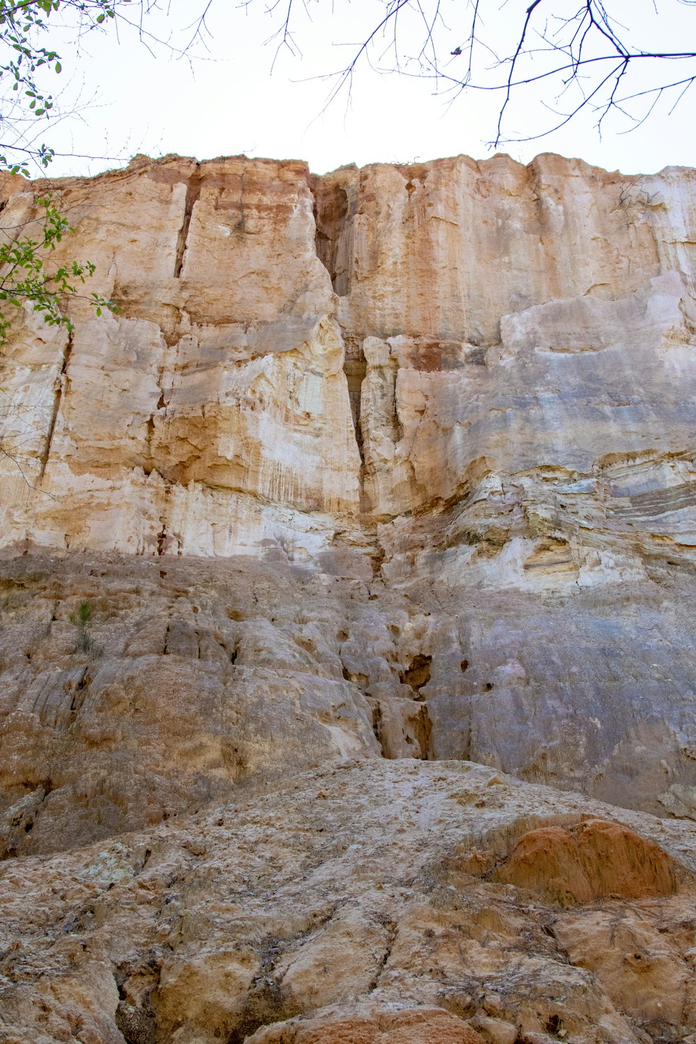 a man sitting on top of a large rock next to a tree