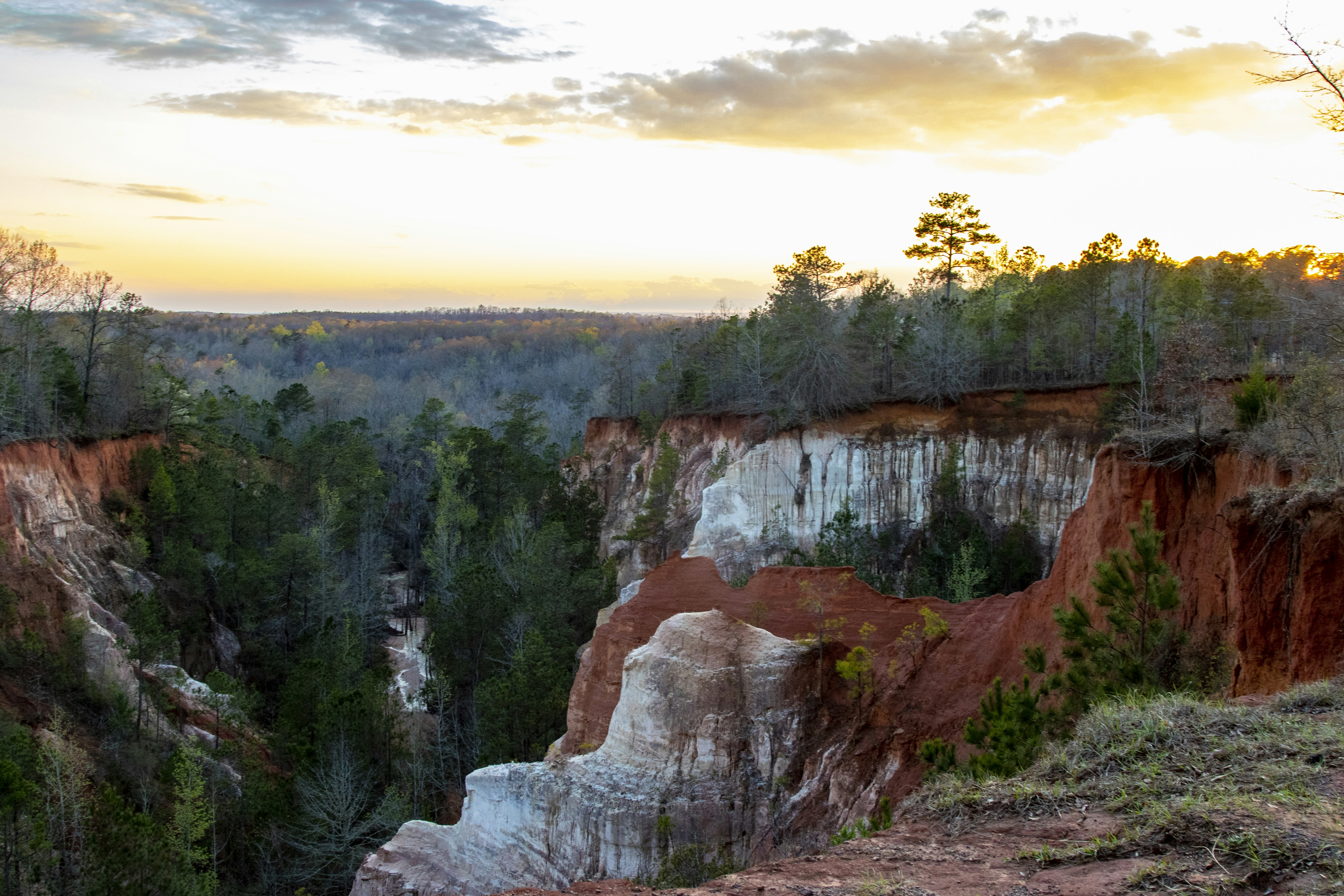 Photo by robincanfield