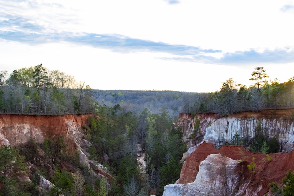 a group of people standing on top of a cliff