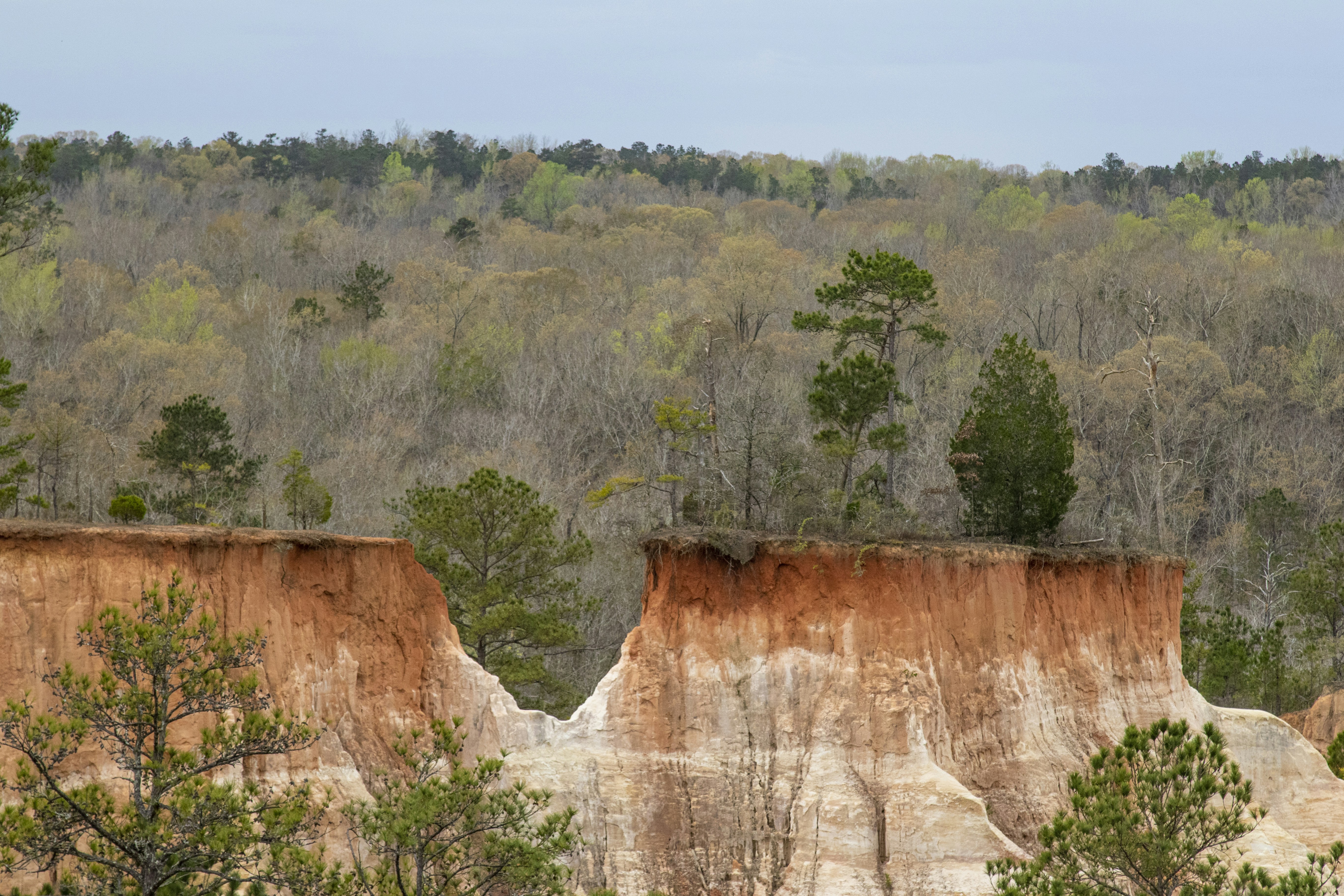 Photo by robincanfield