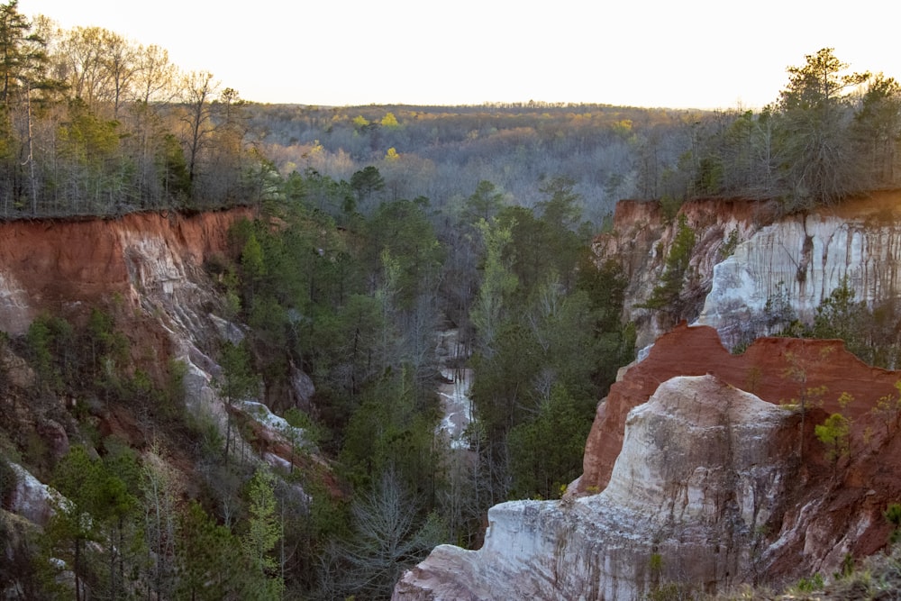 a view of a canyon with trees and cliffs