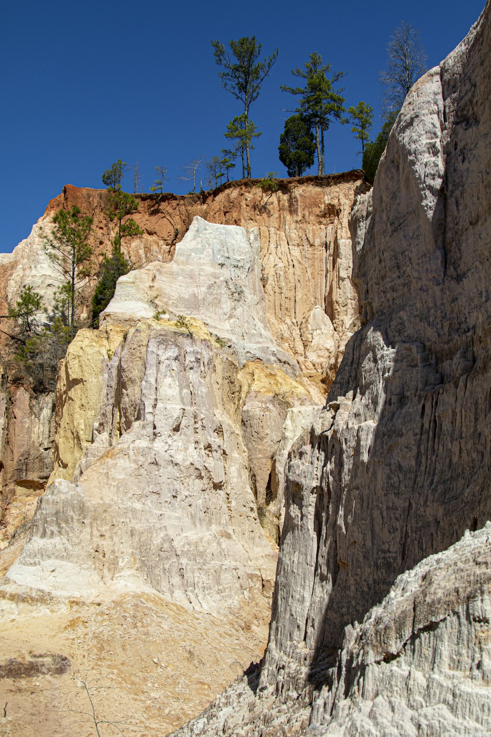 a rocky cliff with trees on top of it