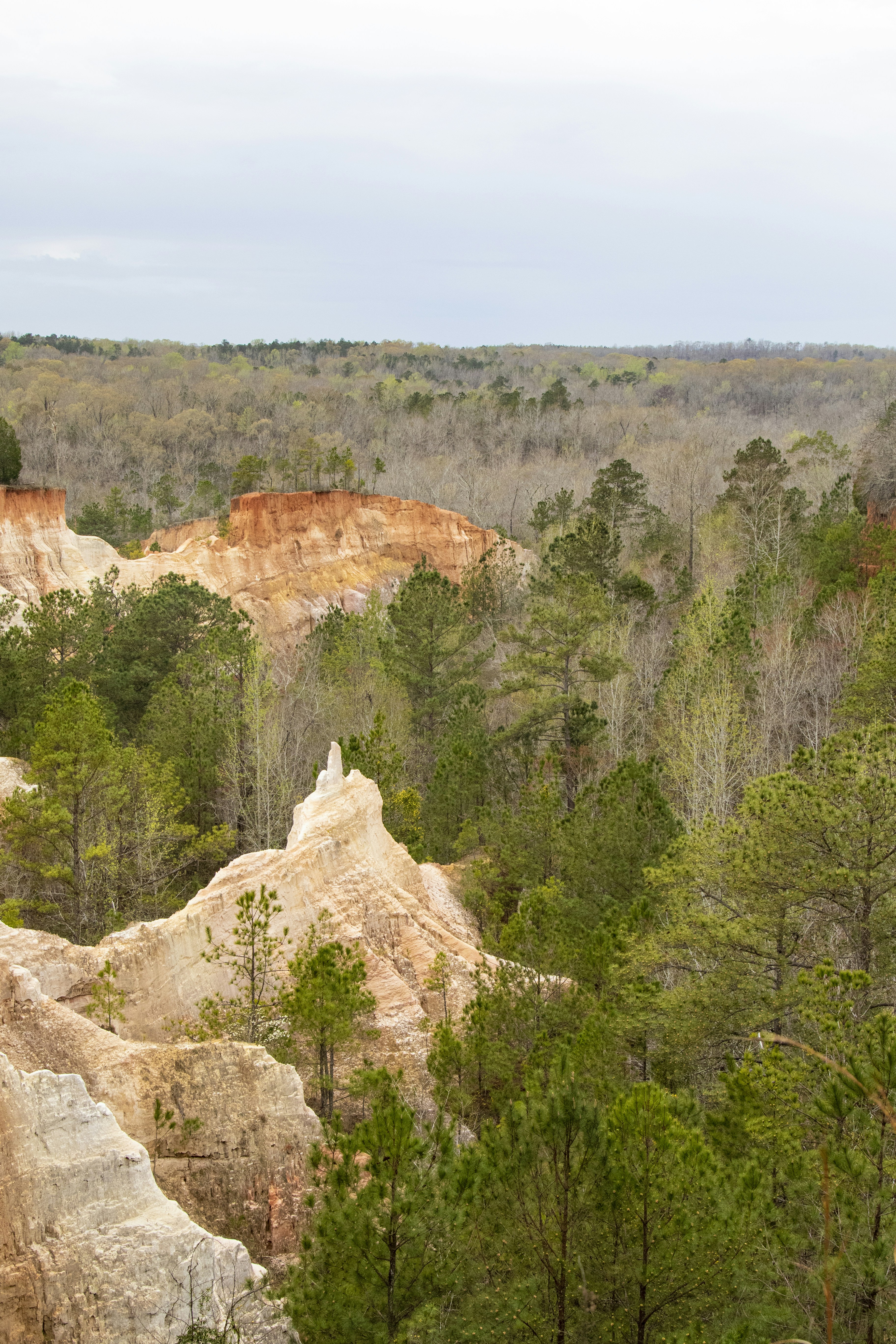 Photo by robincanfield