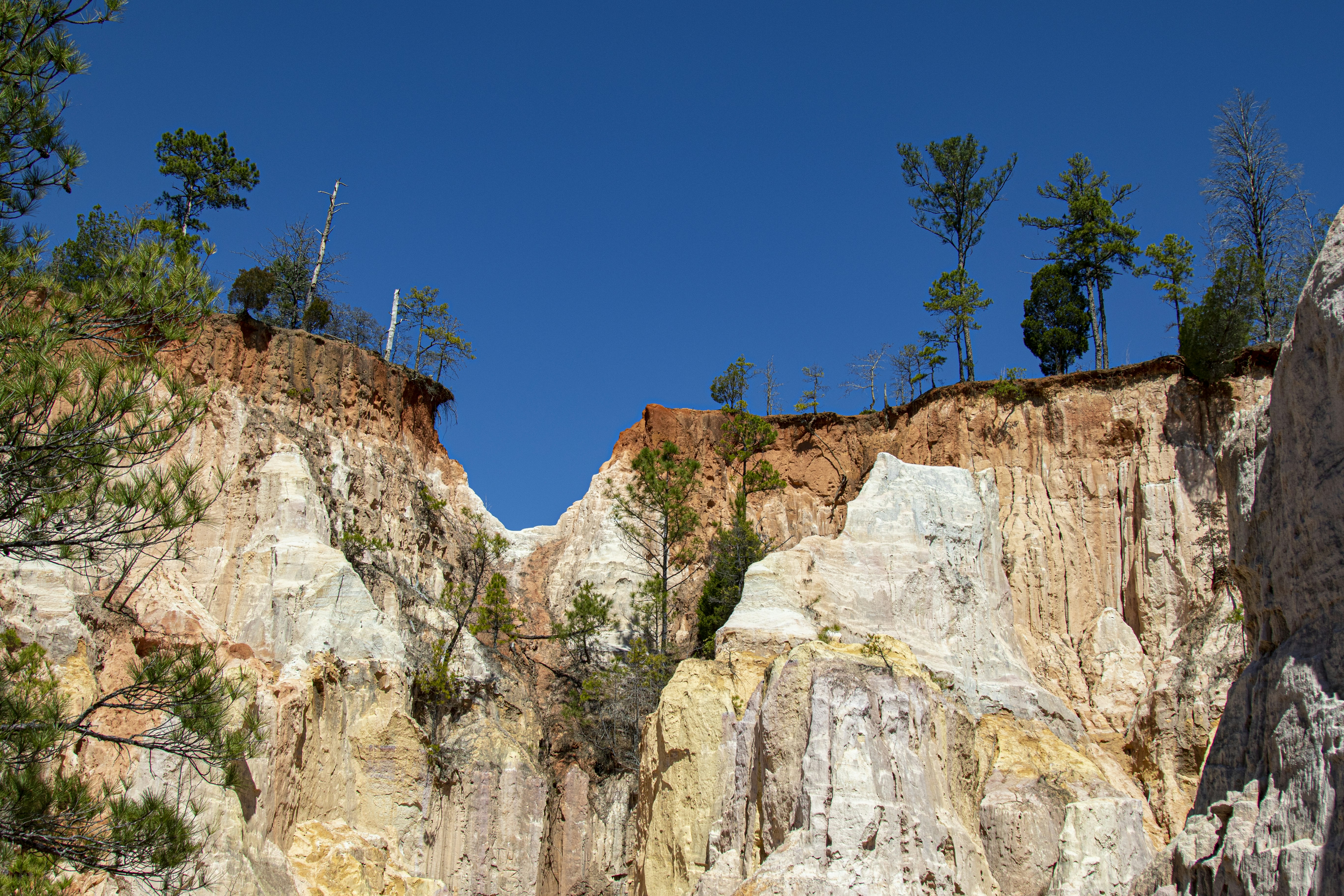 Photo by robincanfield