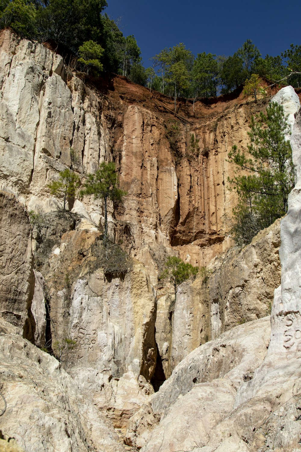 a large rock formation with trees growing out of it