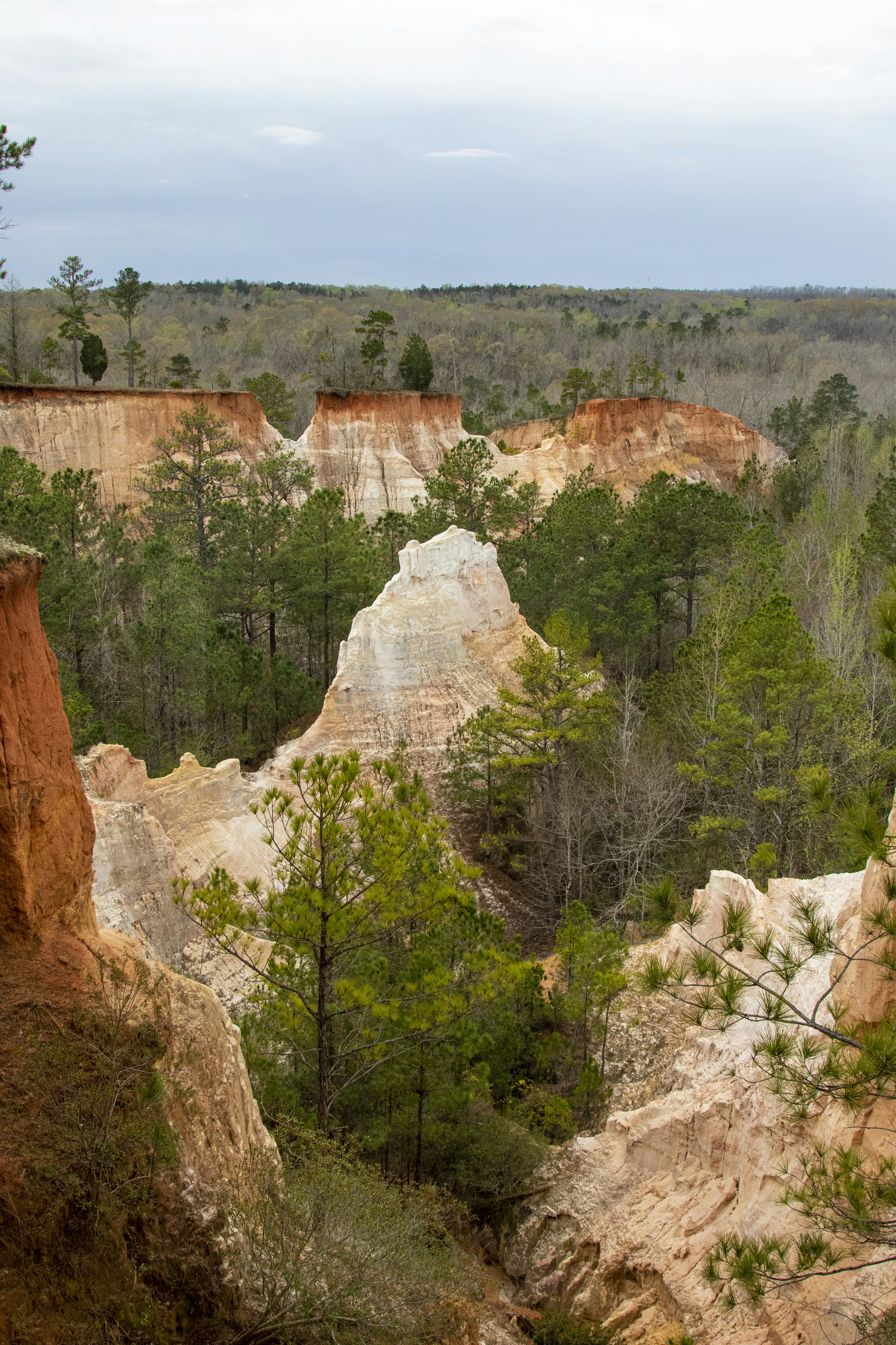 Photo by robincanfield