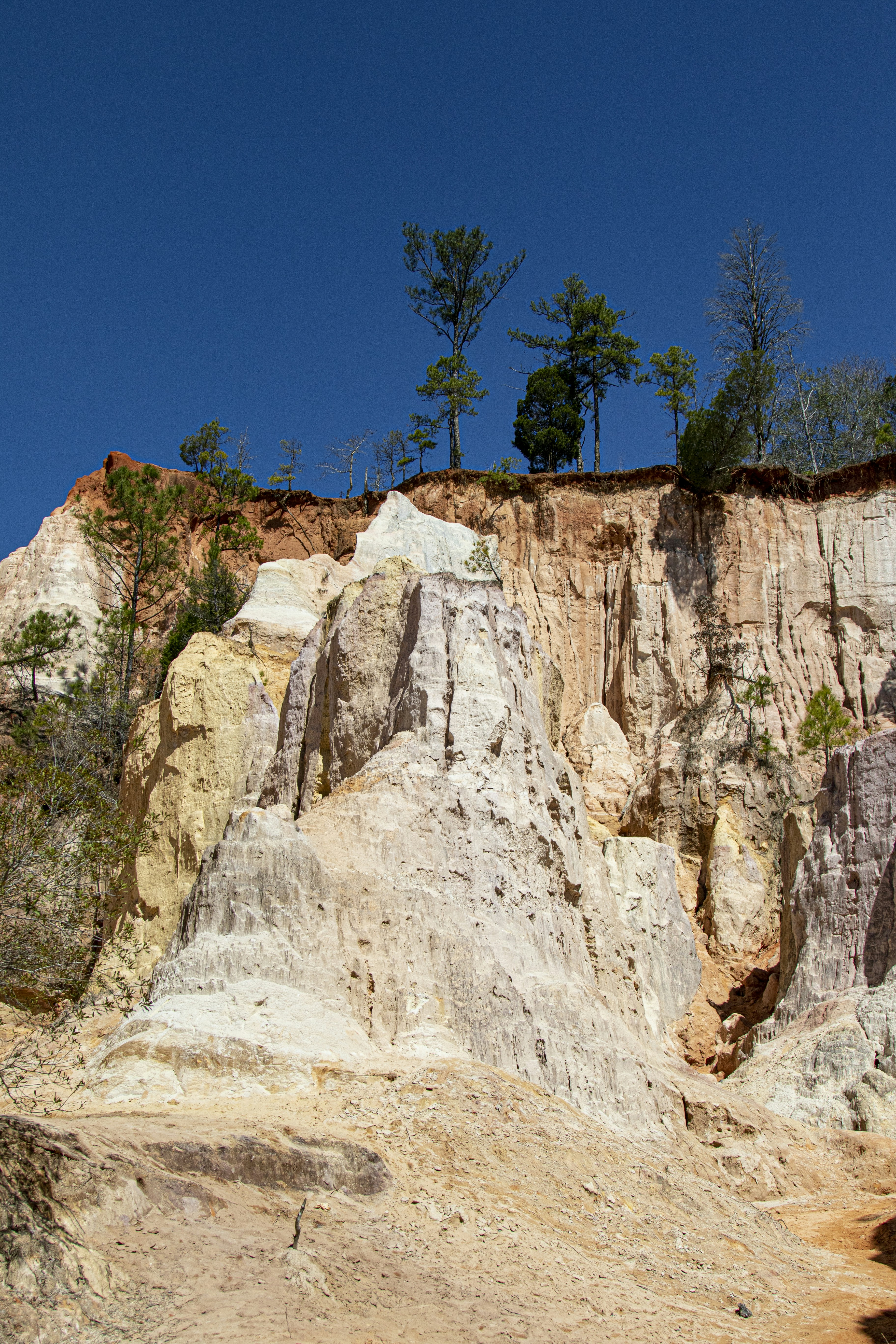 Photo by robincanfield