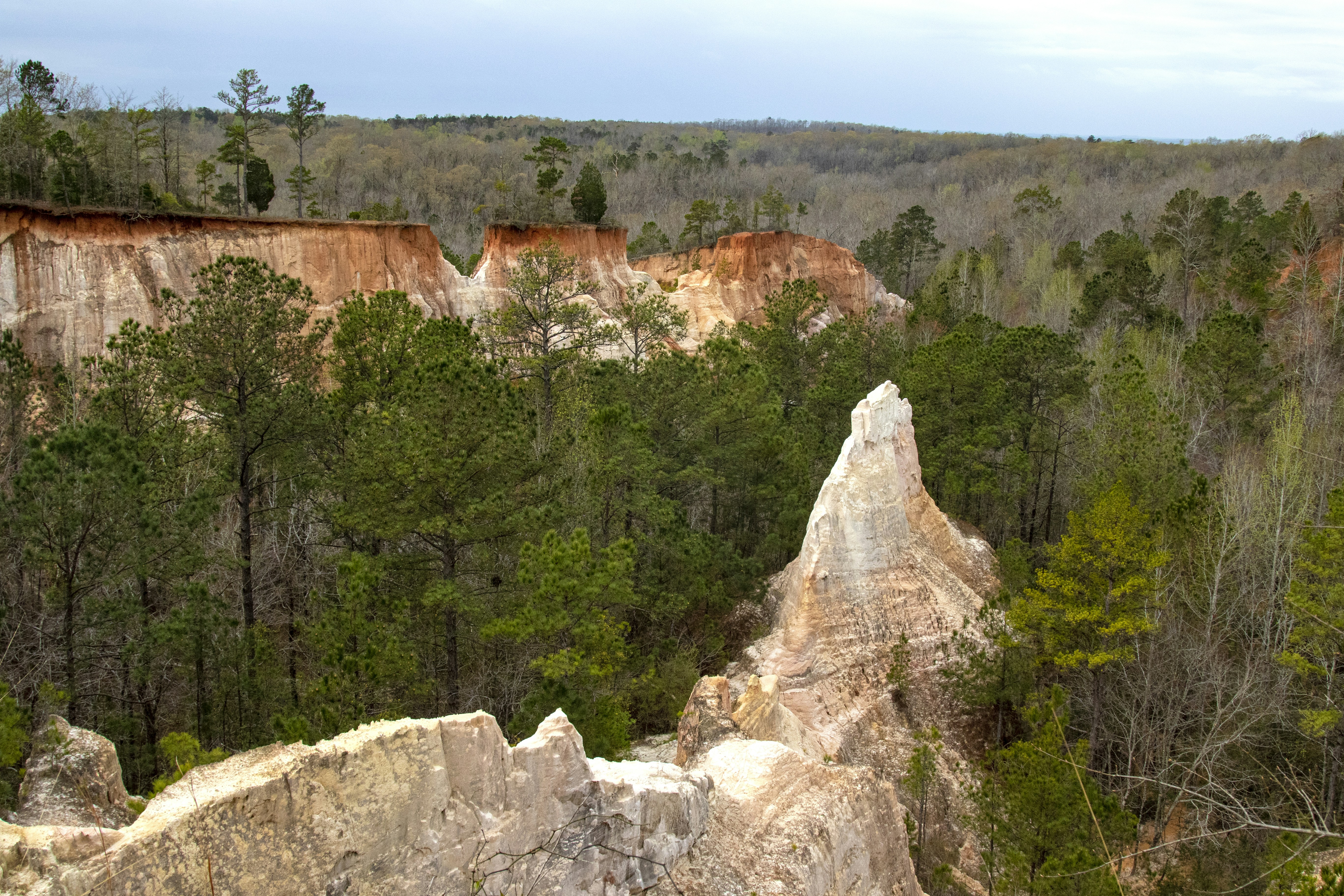 Photo by robincanfield