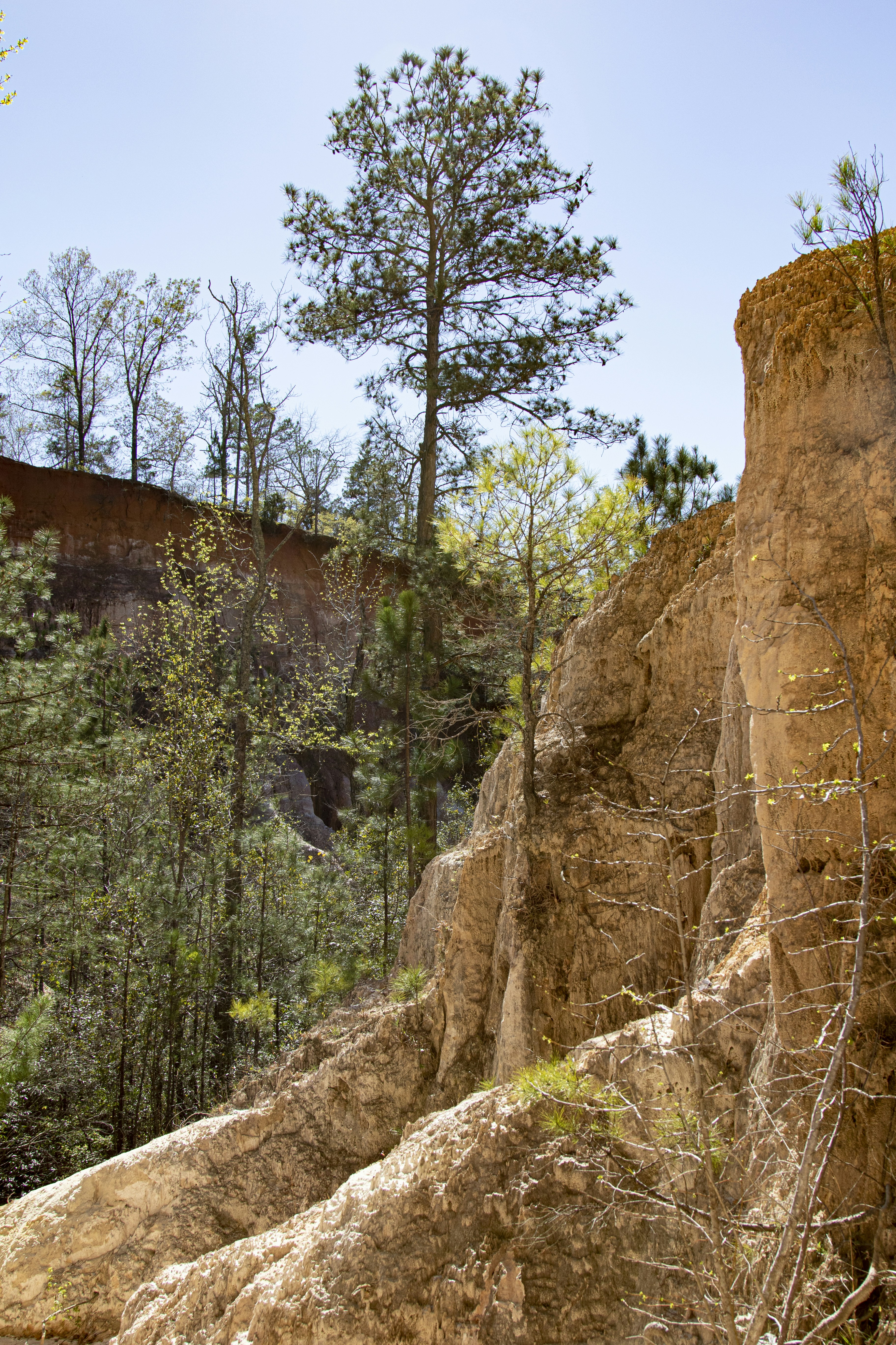 Photo by robincanfield