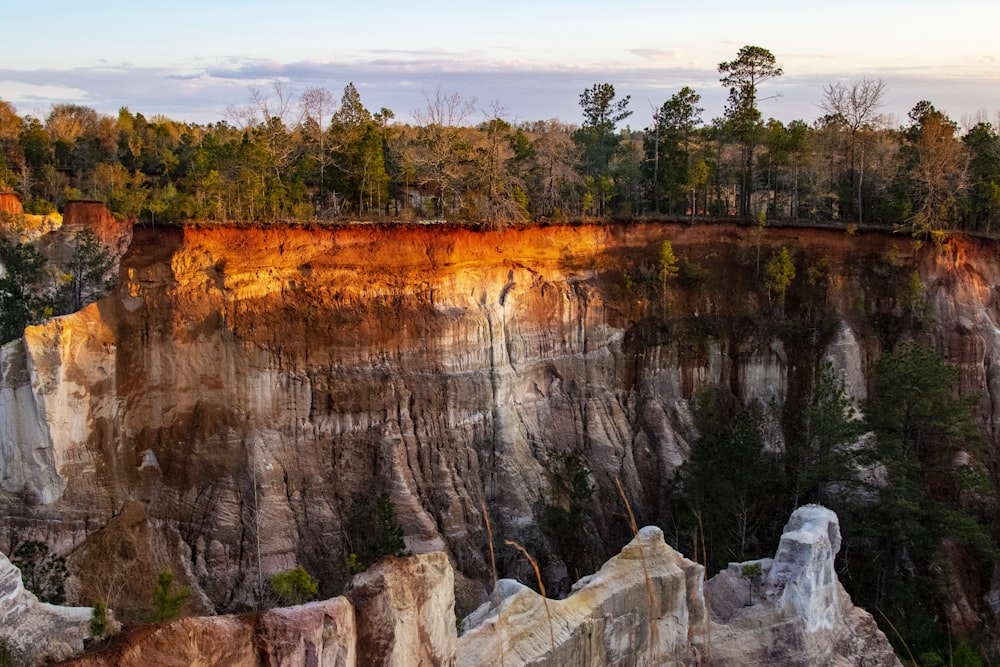 a cliff face with trees on the side of it