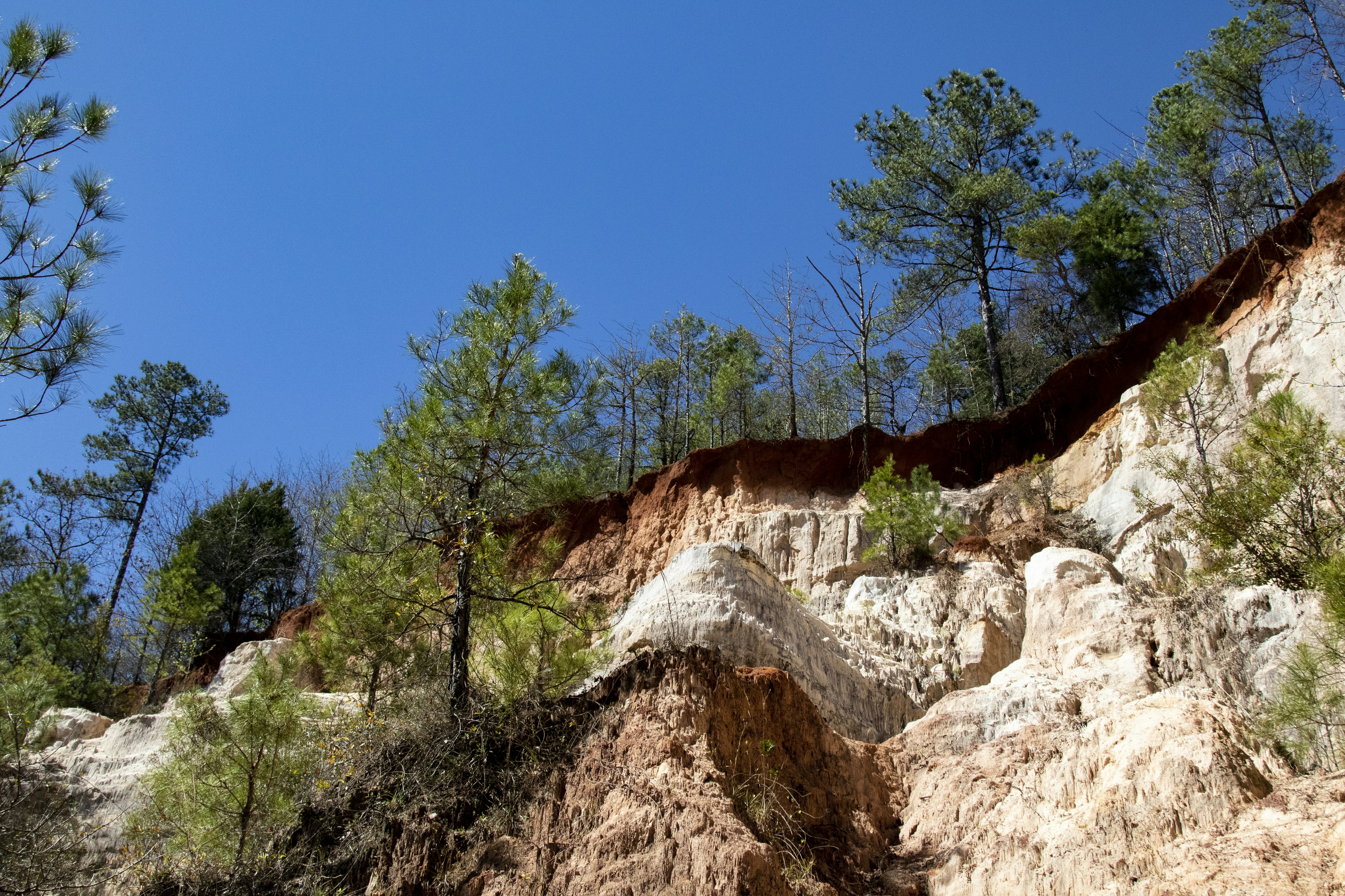 Photo by robincanfield