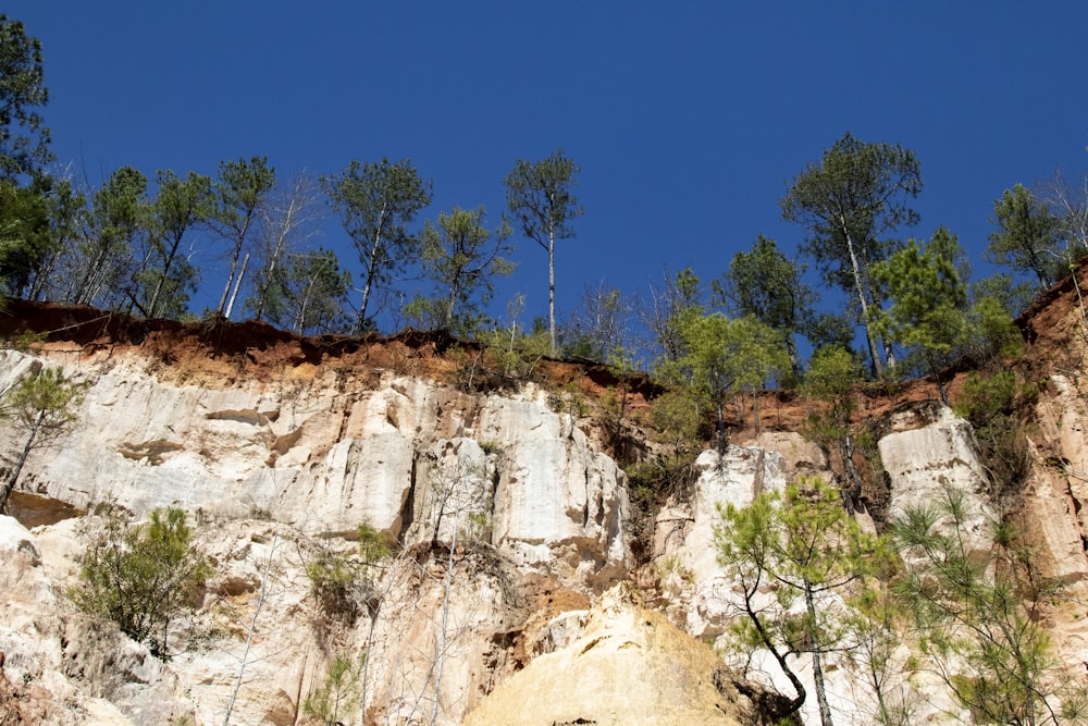 a cliff face with trees growing on top of it