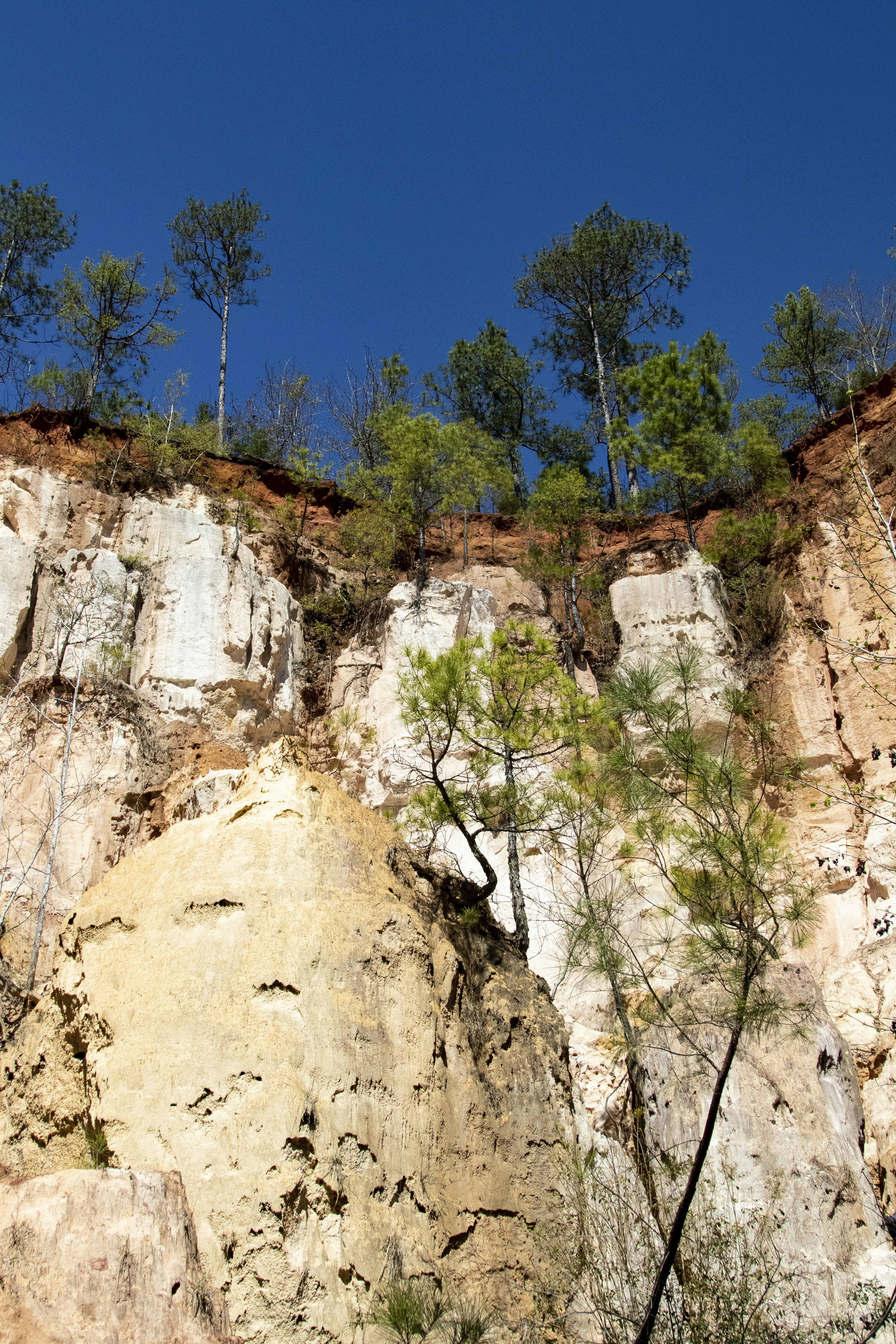 Photo by robincanfield