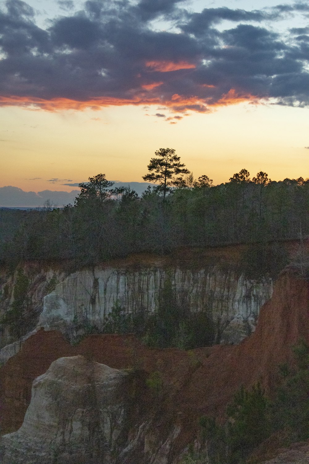 a large elephant standing on top of a cliff