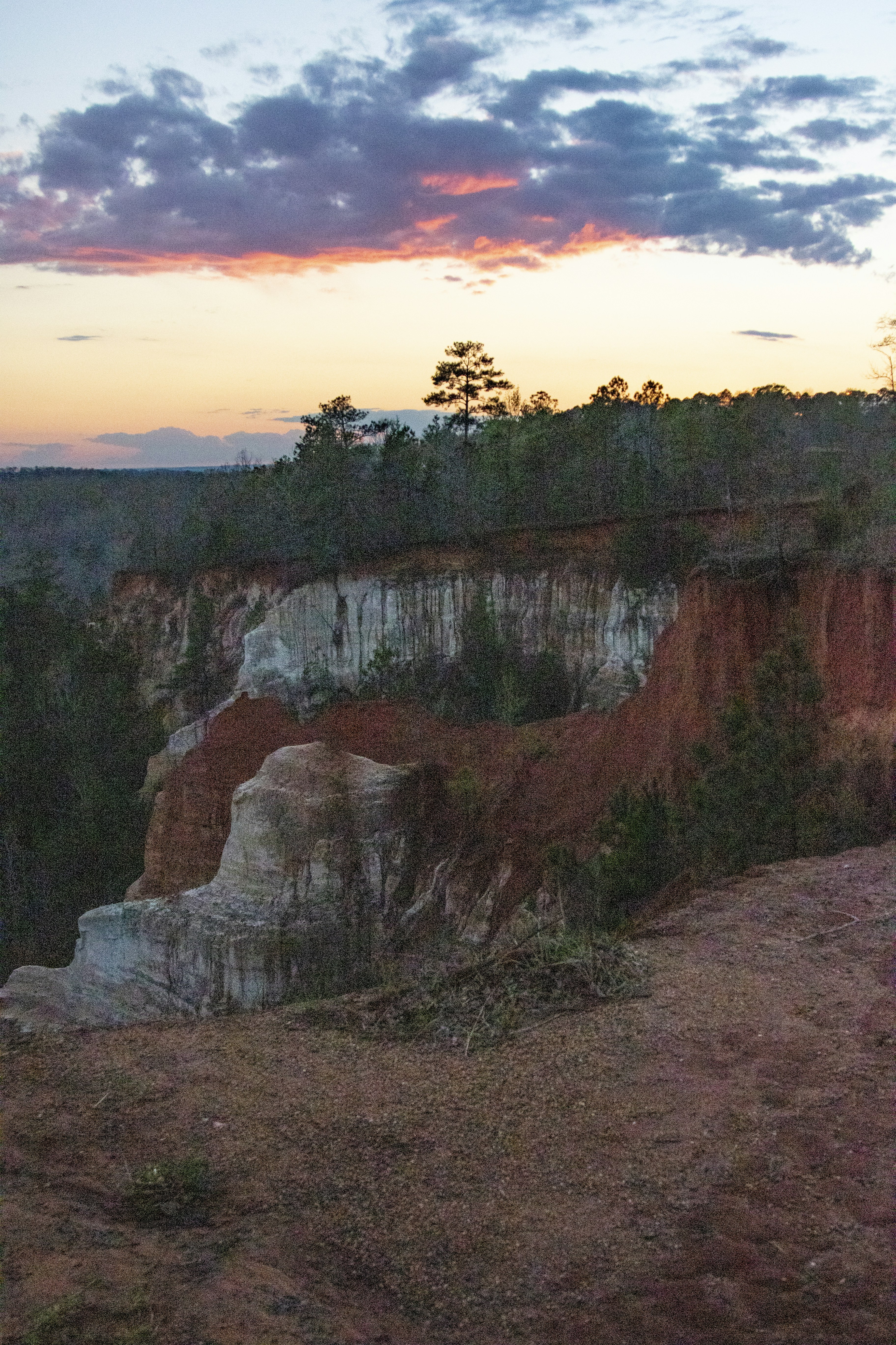 Photo by robincanfield