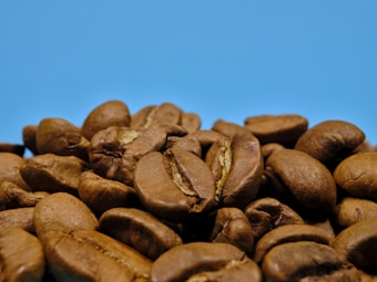 A close-up of roasted coffee beans piled together, showcasing their smooth and shiny surfaces with some visible texture. The background is a solid light blue, emphasizing the rich brown color of the coffee beans.