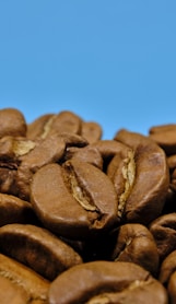a pile of roasted coffee beans against a blue background