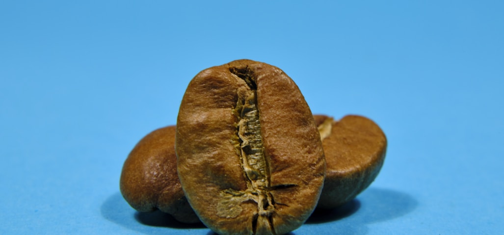 a couple of nuts sitting on top of a blue surface