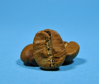 a couple of nuts sitting on top of a blue surface