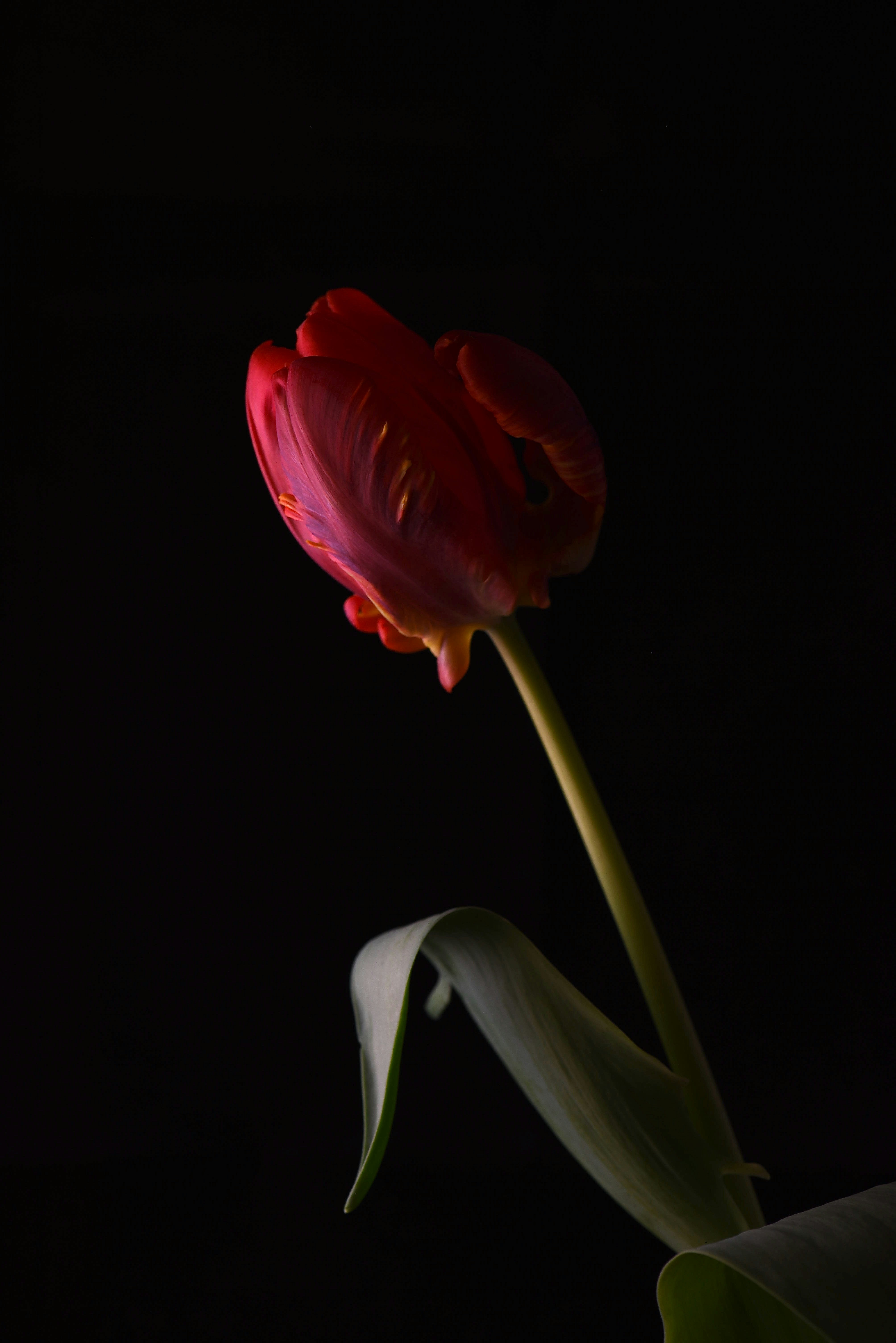 Photo by alexandrastam