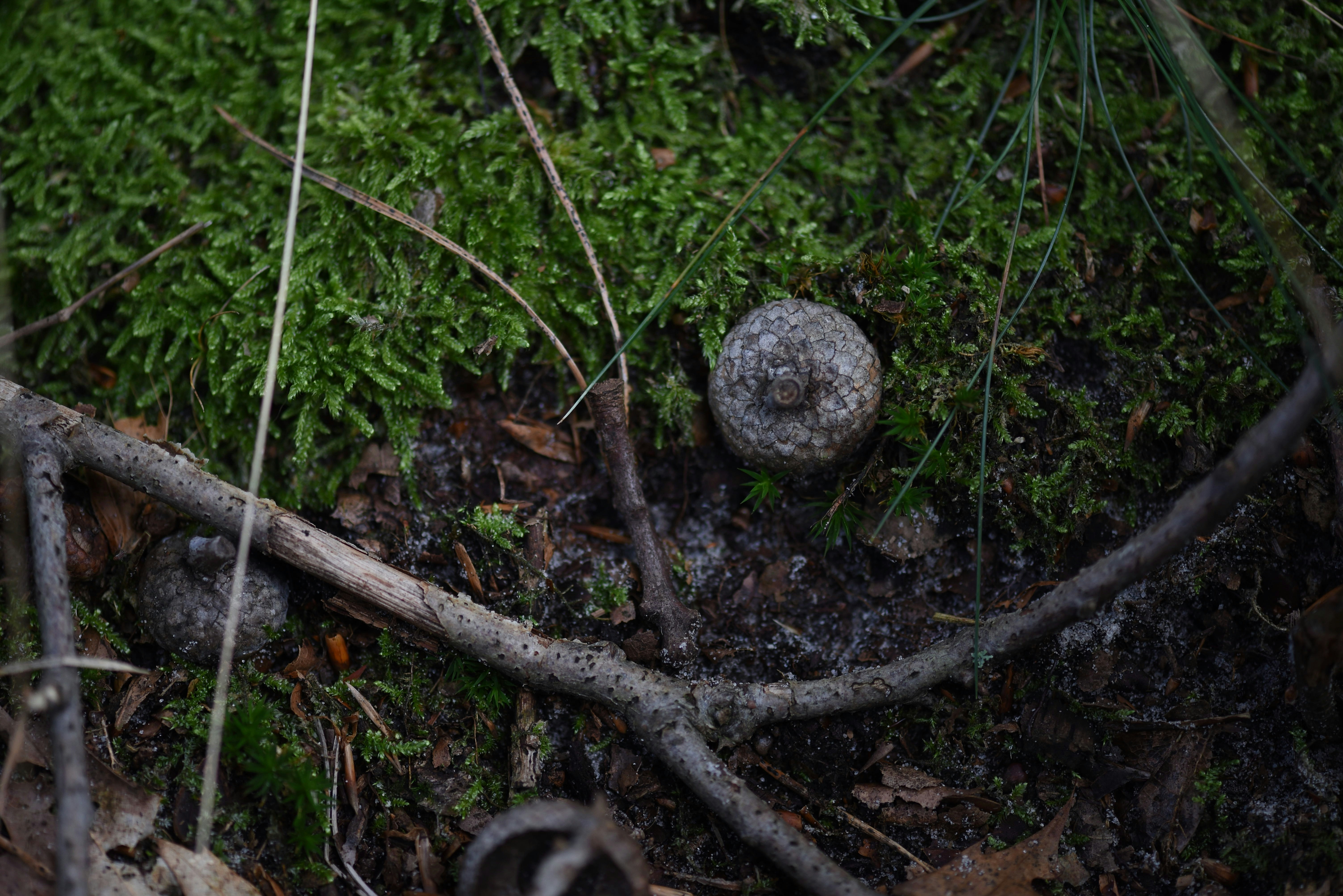 Photo by alexandrastam