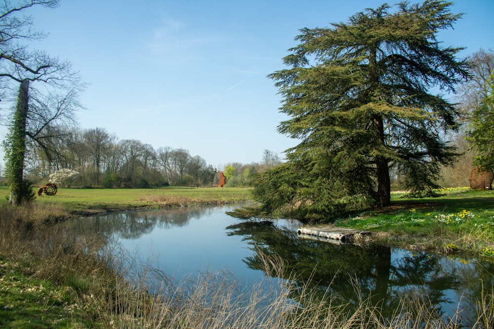 a pond surrounded by trees in a park