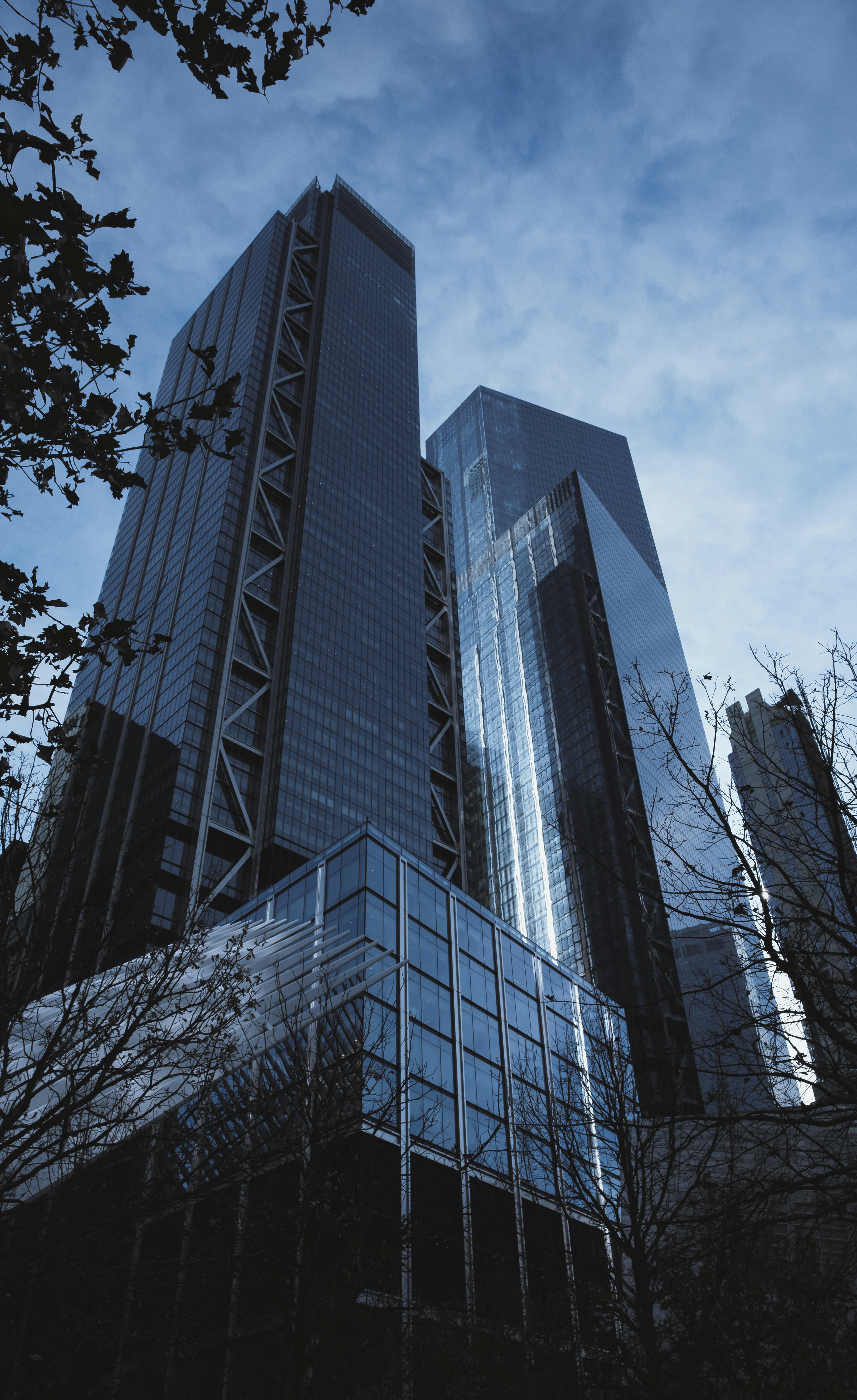 Photo by lloydkearney