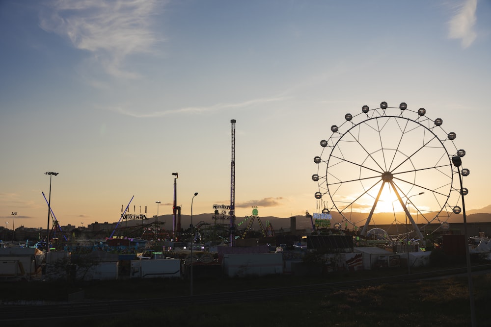 a ferris wheel sitting in the middle of a field