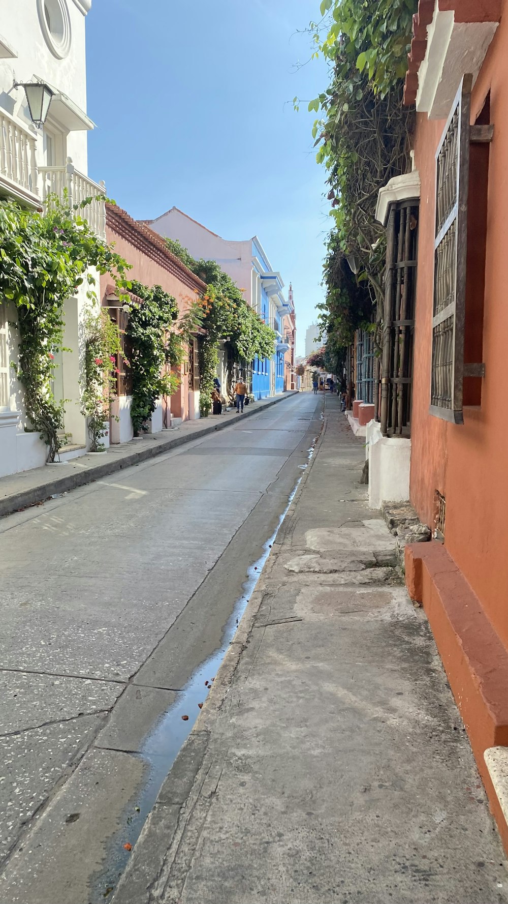 a street with a puddle of water on the side of it