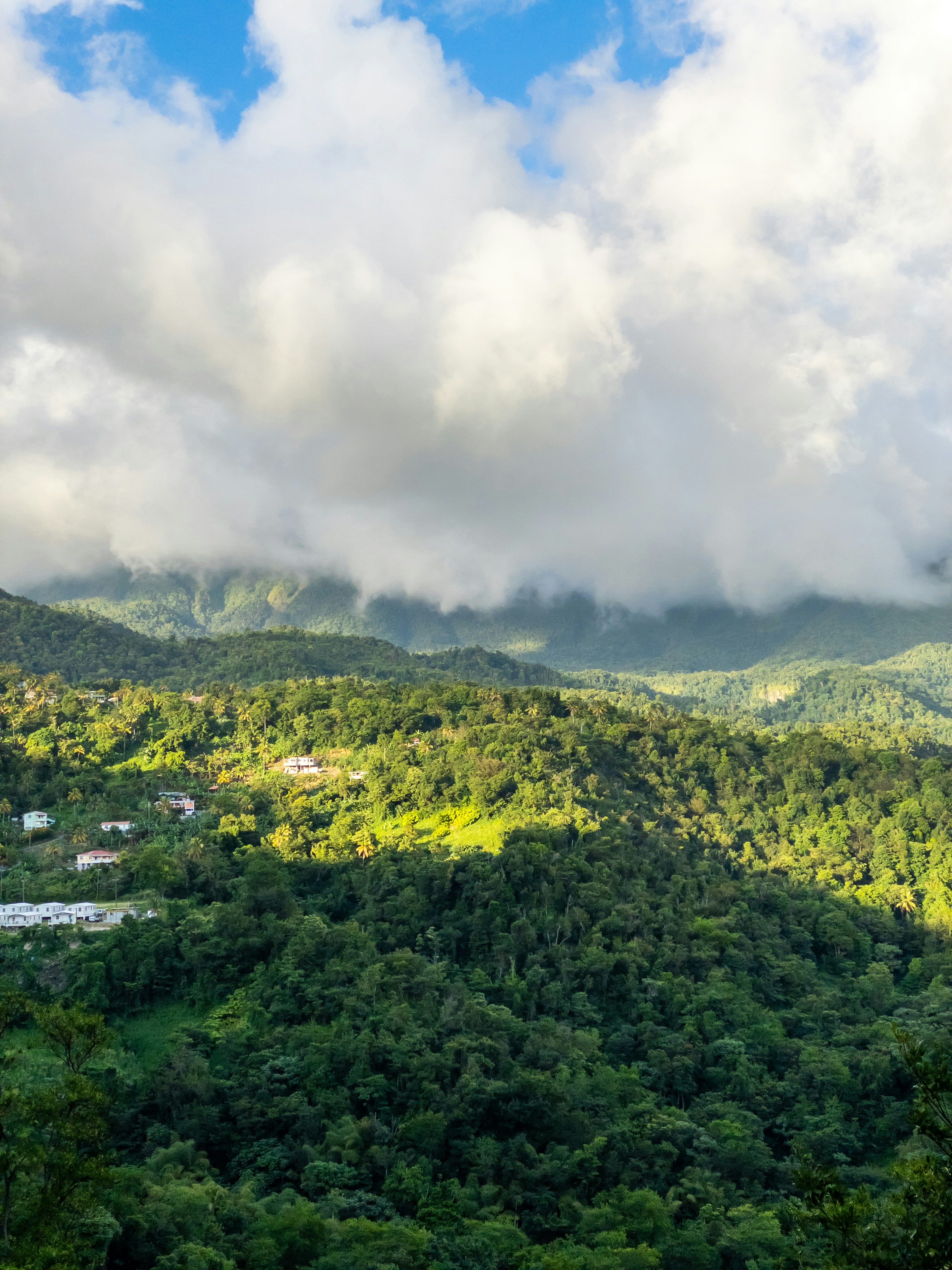 a lush green hillside covered in trees under a cloudy sky