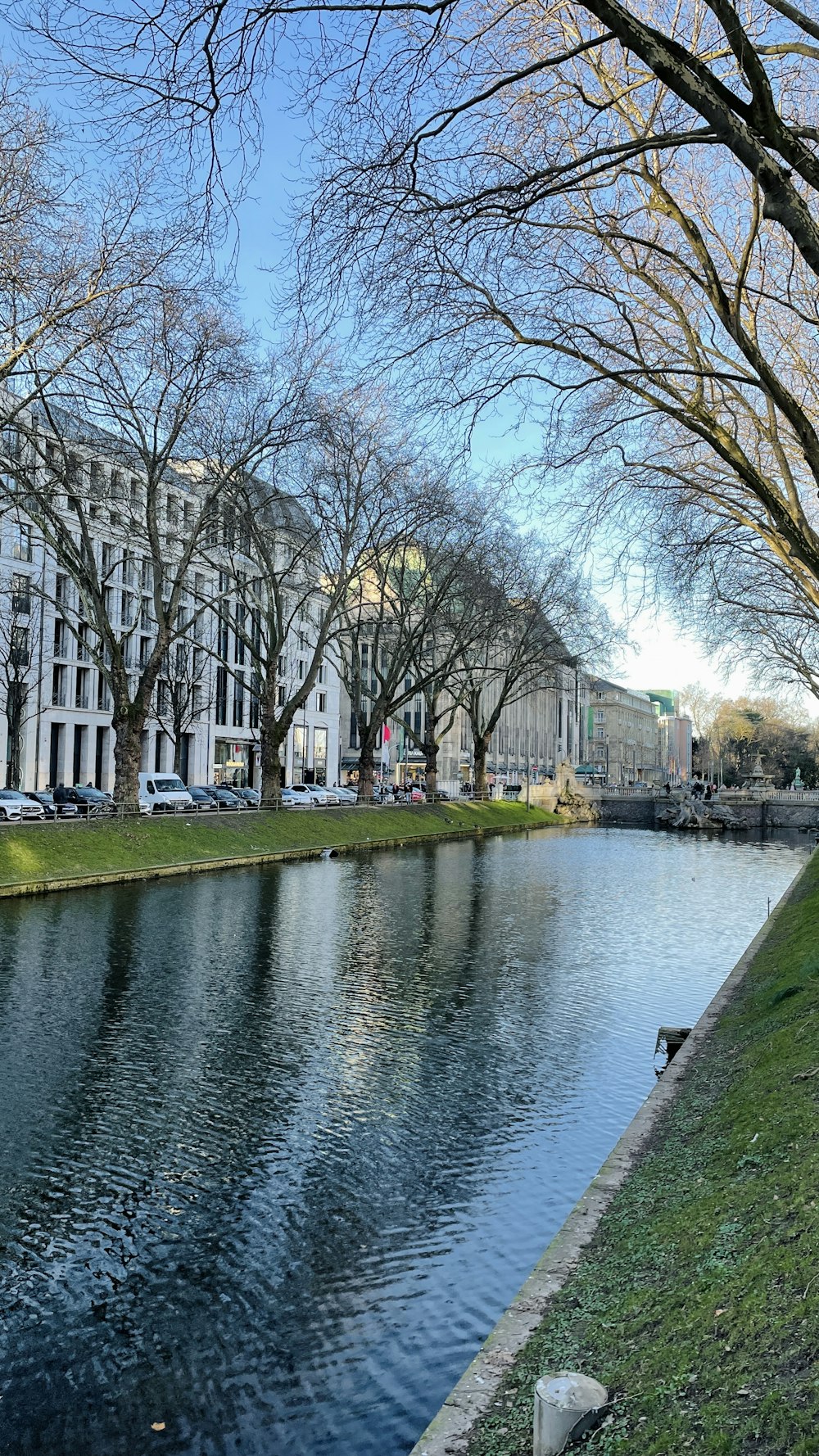 a body of water surrounded by trees and buildings