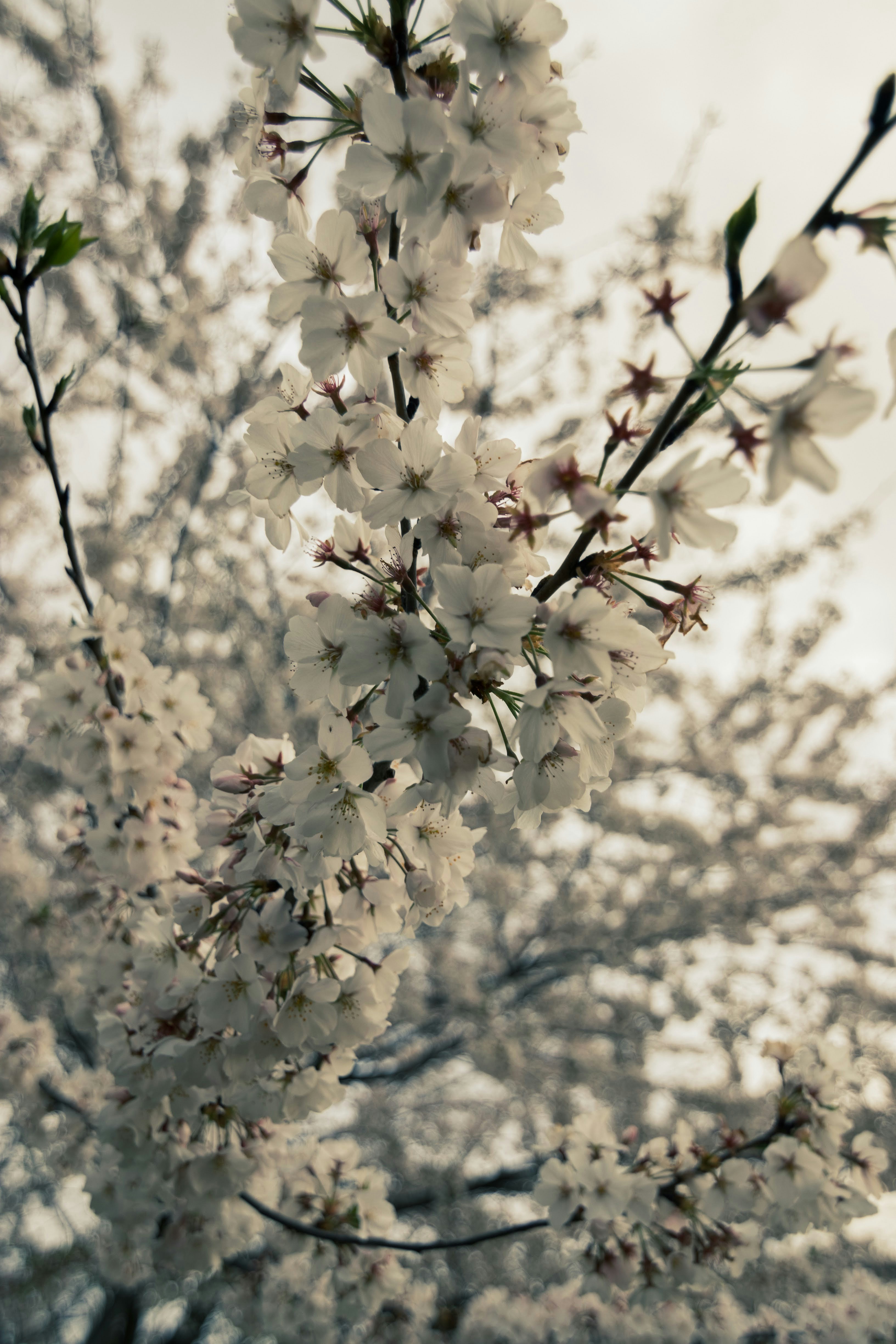 Photo by brice_cooper18