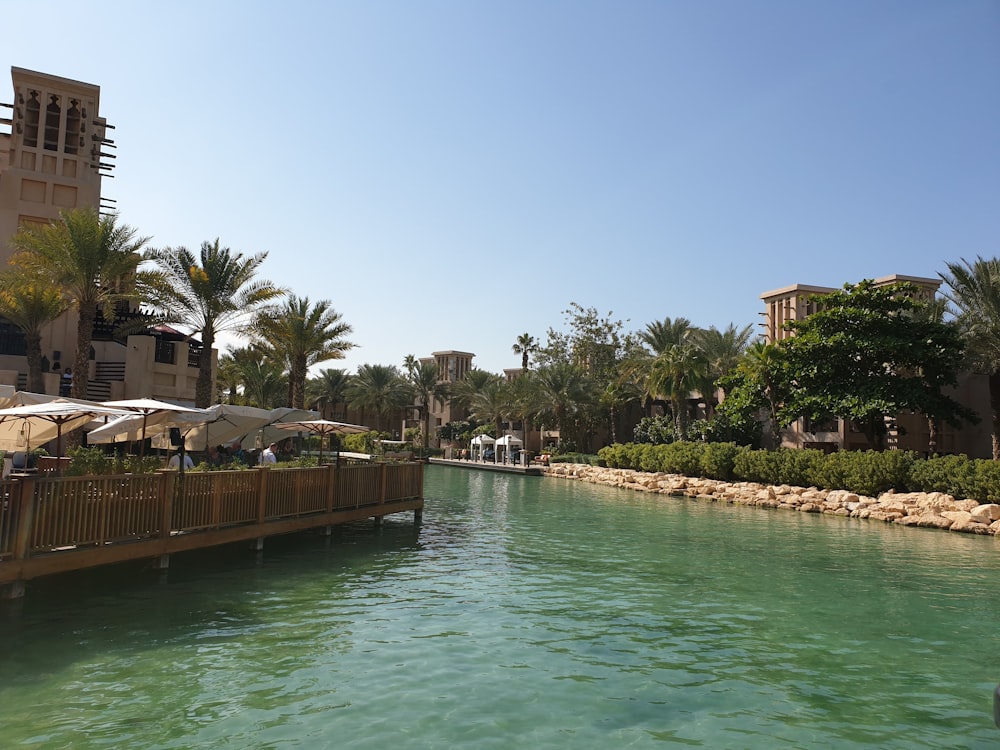 a body of water next to a building and palm trees
