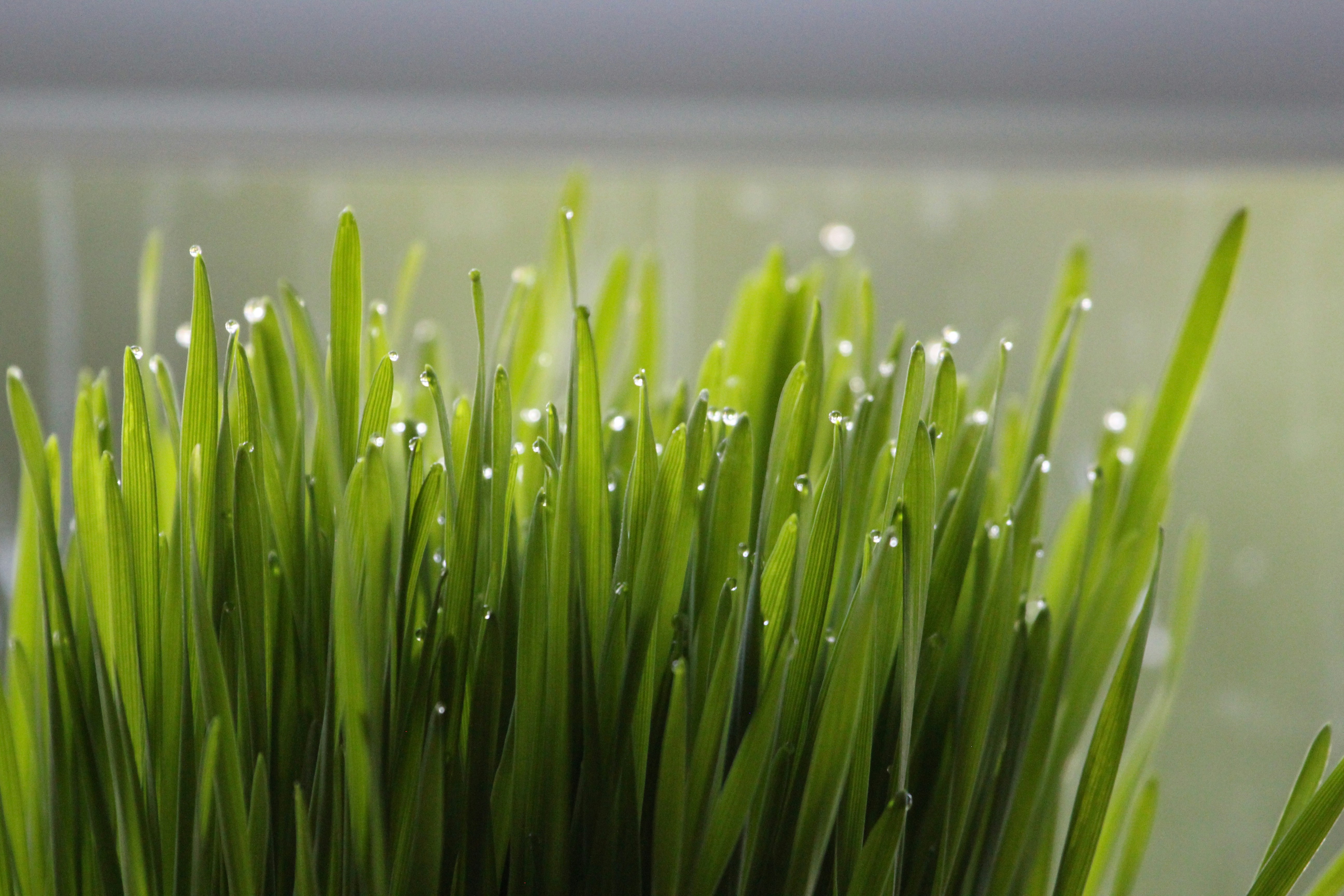 Photo by clairejohnson