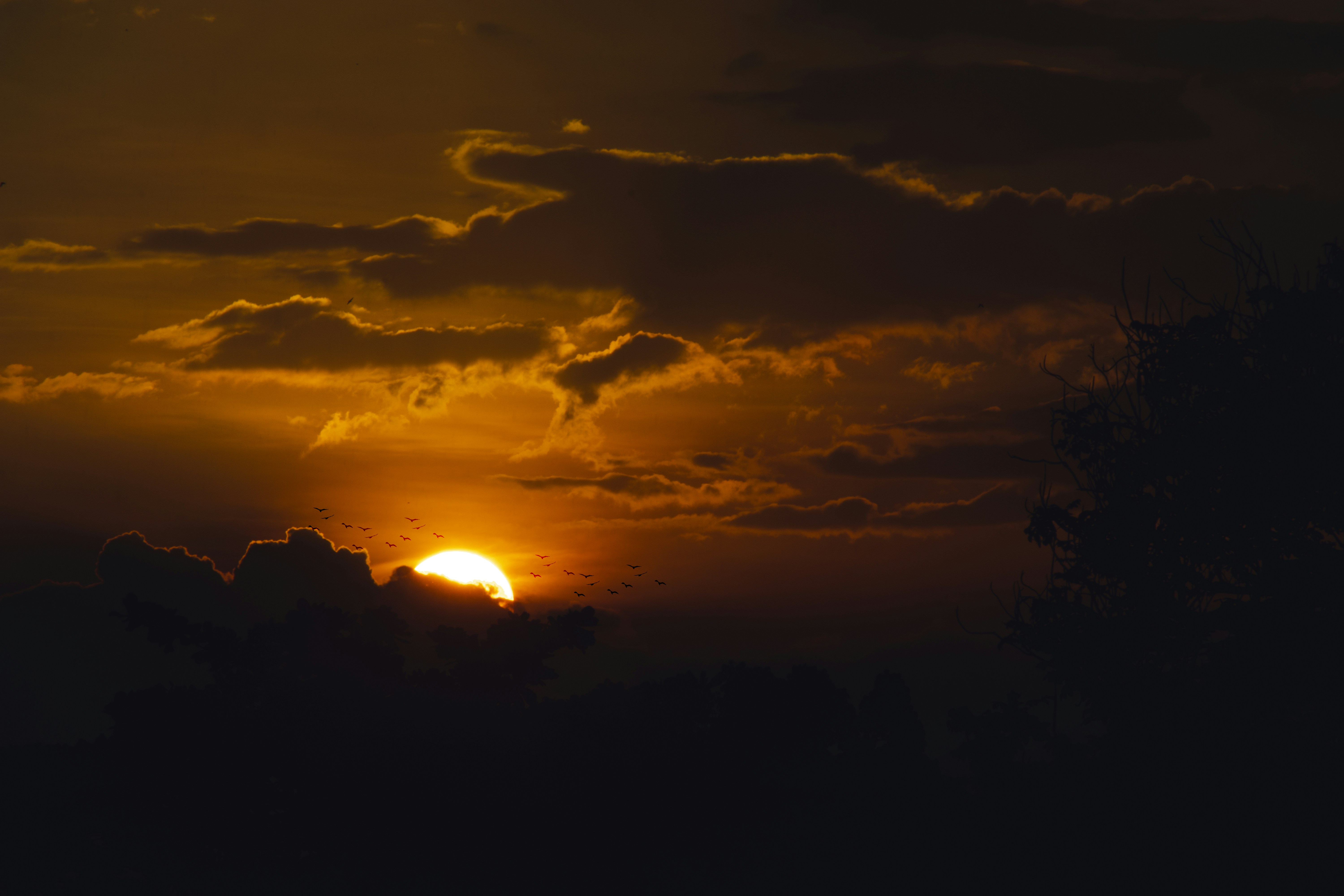 Photo by roadahead_2223